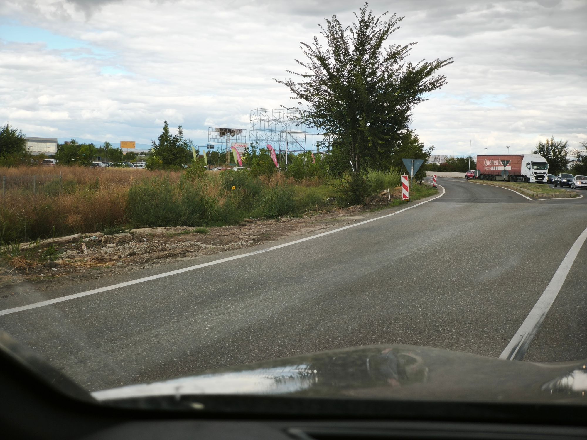 Ambrozie in Șoseaua Buftea 1B, Ploiești, Municipiu Ploiești, Județul Prahova - 1000100074.jpg