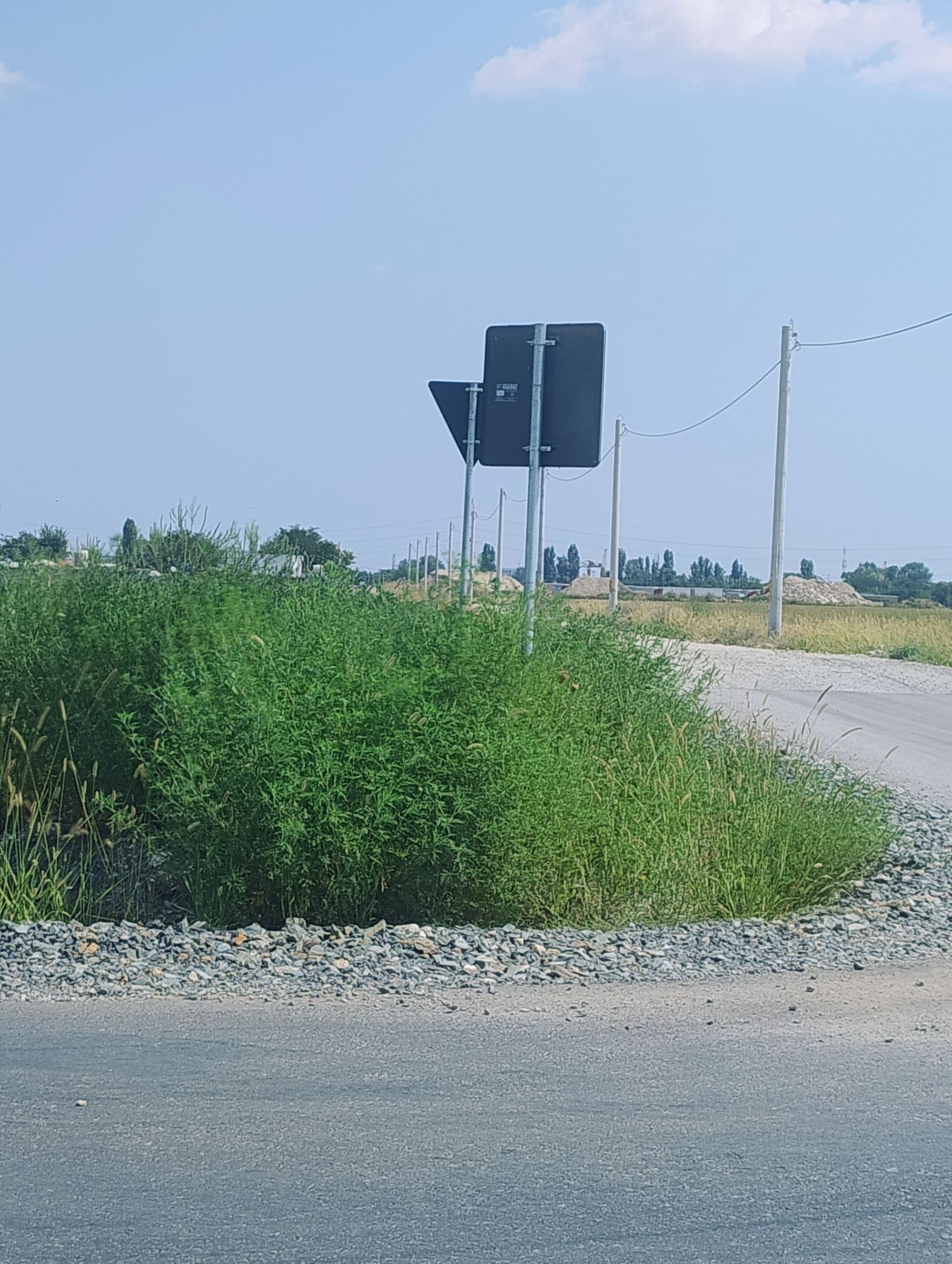 Ambrozie in Domnești, Comuna Domnești, Județul Ilfov