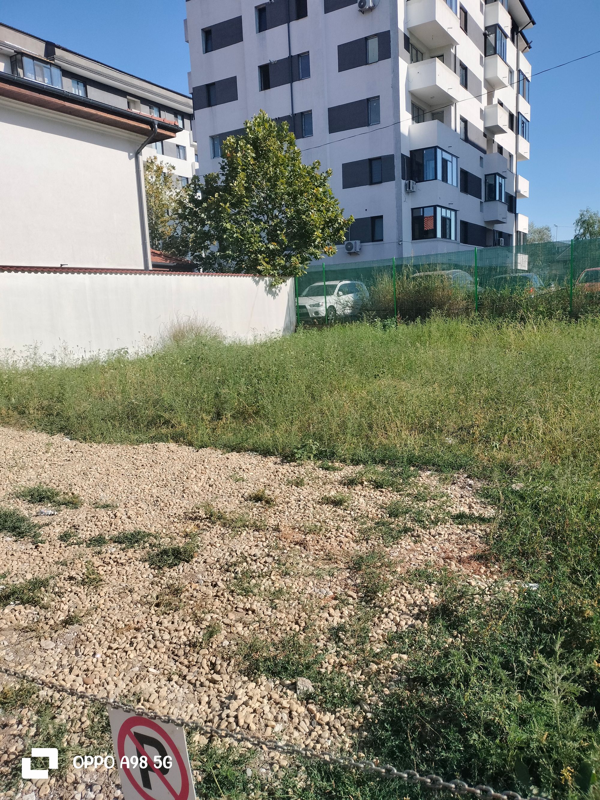 Ambrozie in Strada Sergent Ilie Petre Nr 4h Chiajna Roșu Ilfov