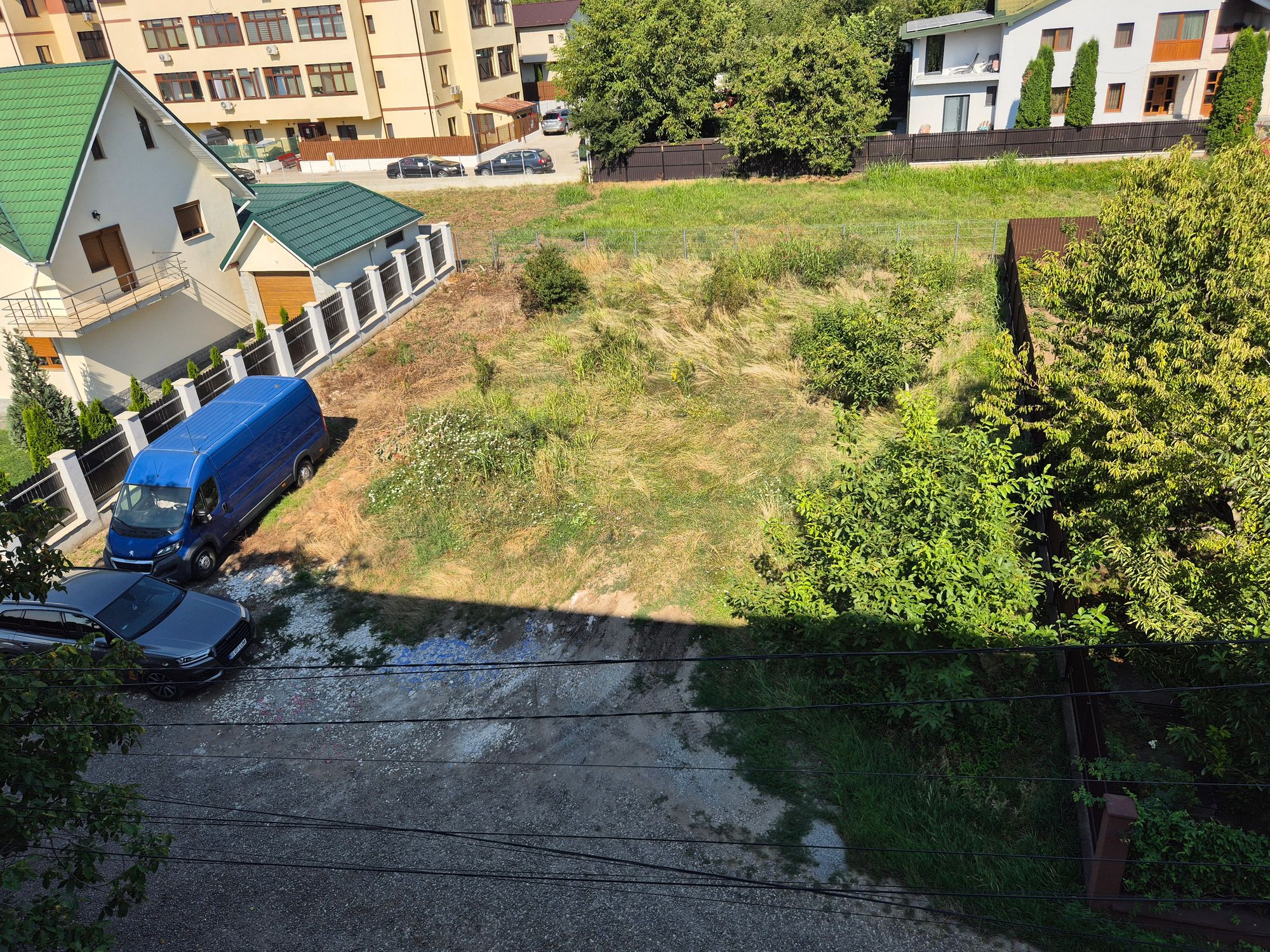Ambrozie in Strada Costea Vodă 130, Valea Adâncă, Comuna Miroslava, Județul Iași - 20250804_100438.jpg