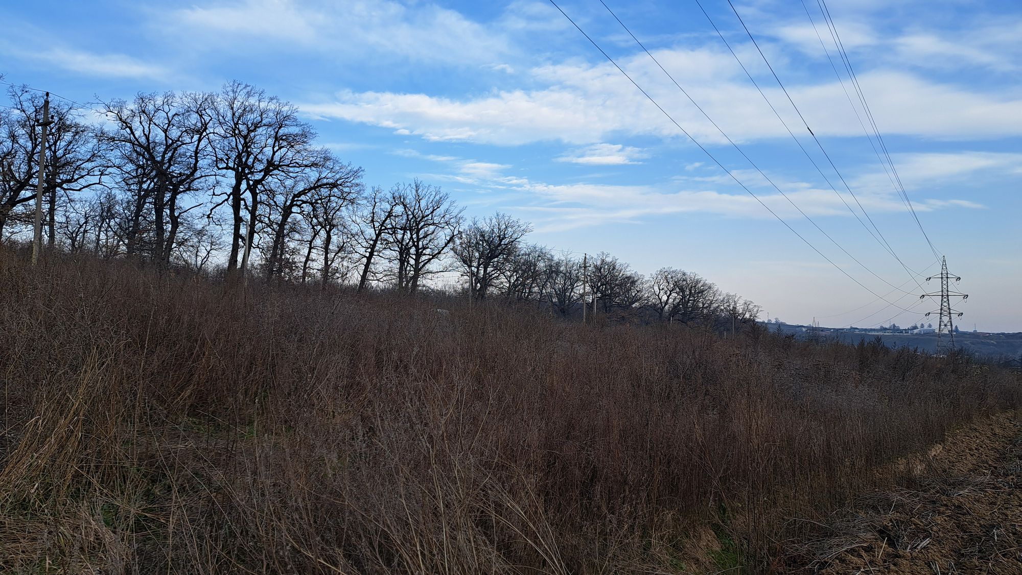 Ambrozie in Strada Nicolae Istrati 20, Suceava, Municipiu Suceava, Județul Suceava - 20251116_145932.jpg