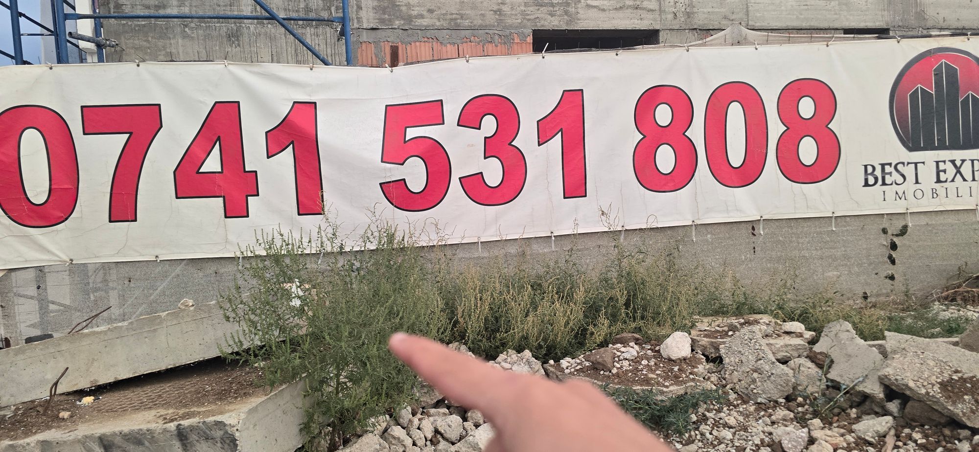 Ambrozie in Drumul Gura Caliței 105, București, Municipiul București - 20250912_192116.jpg