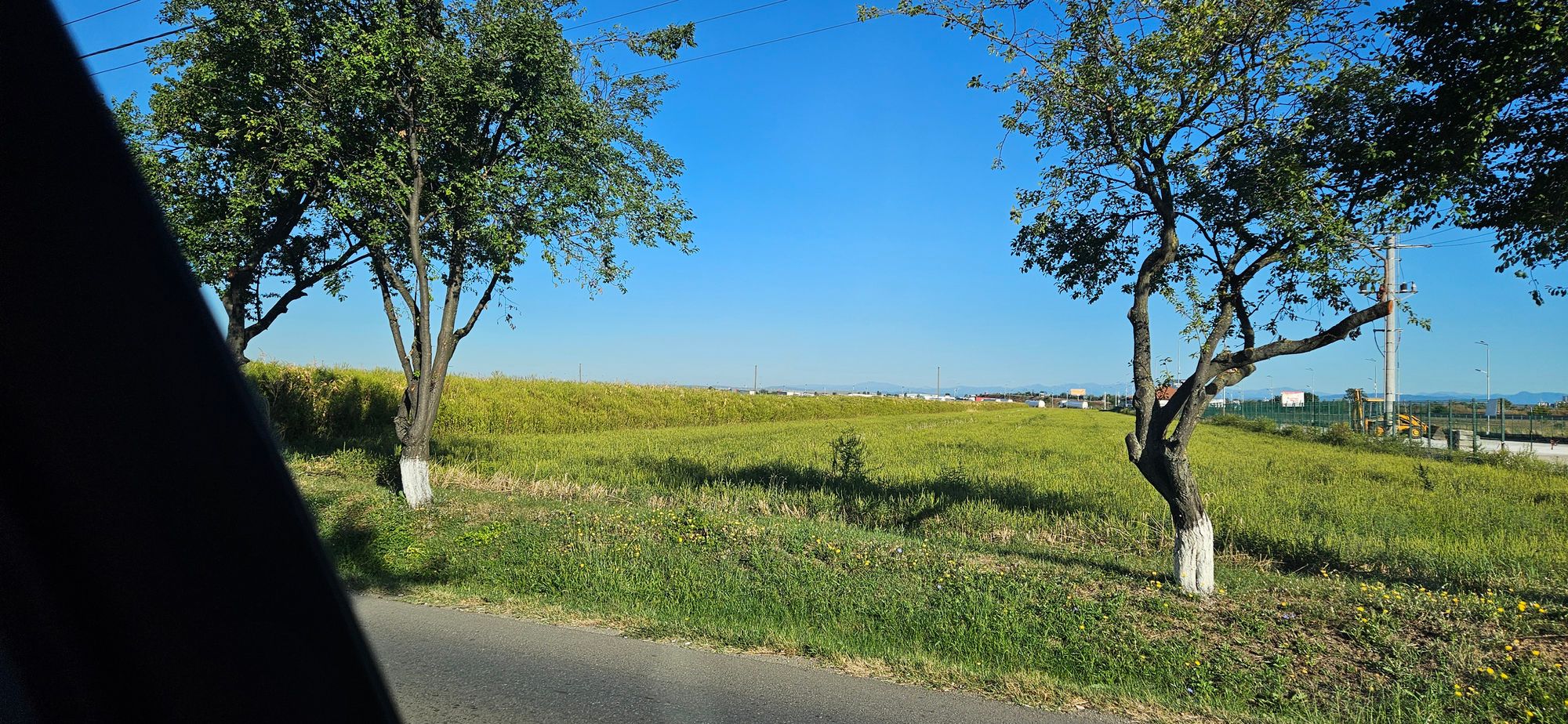 Ambrozie in Ploiești, Municipiu Ploiești, Județul Prahova - 1000126072.jpg