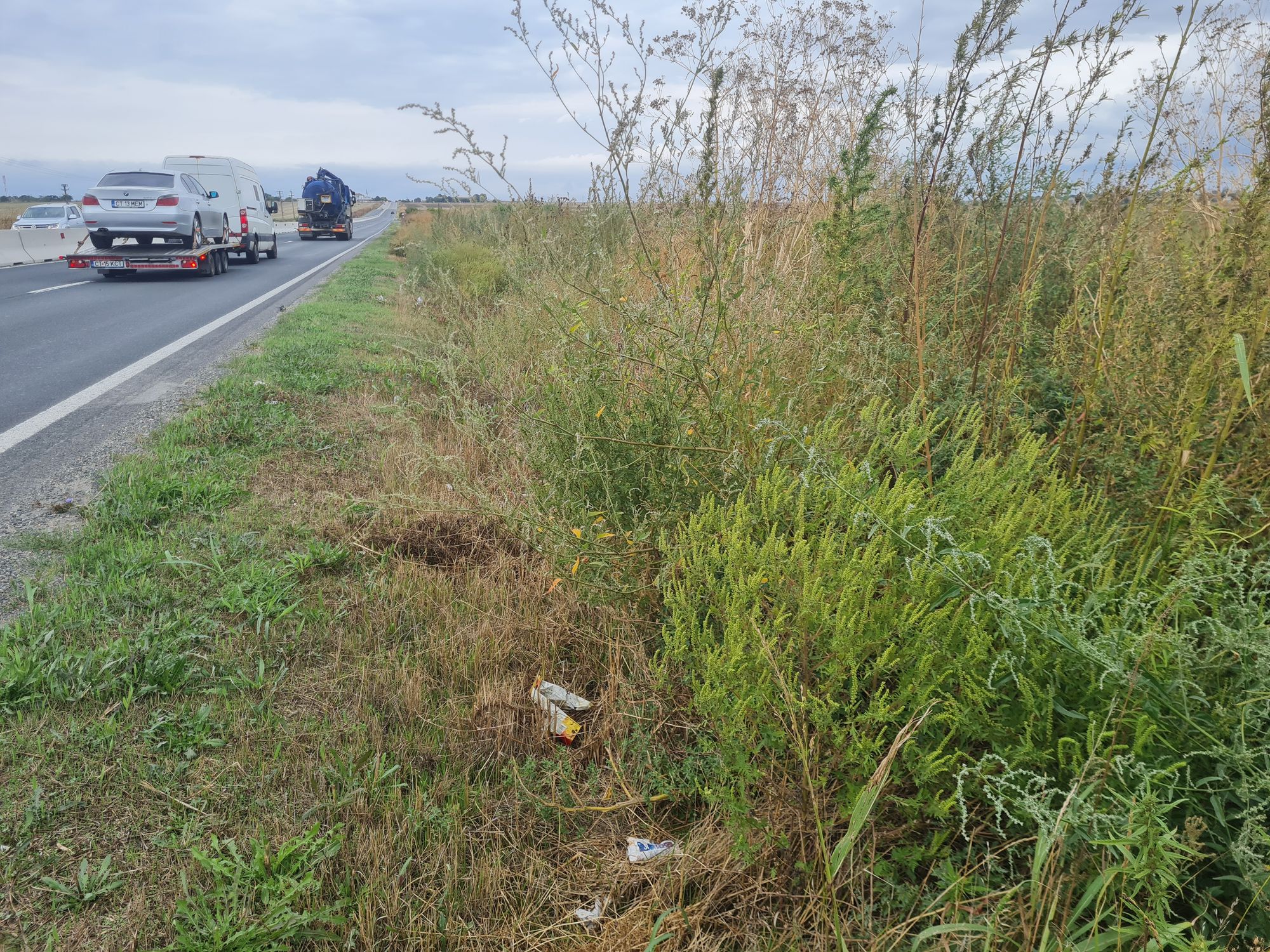 Ambrozie in Oituz, Comuna Lumina, Județul Constanța