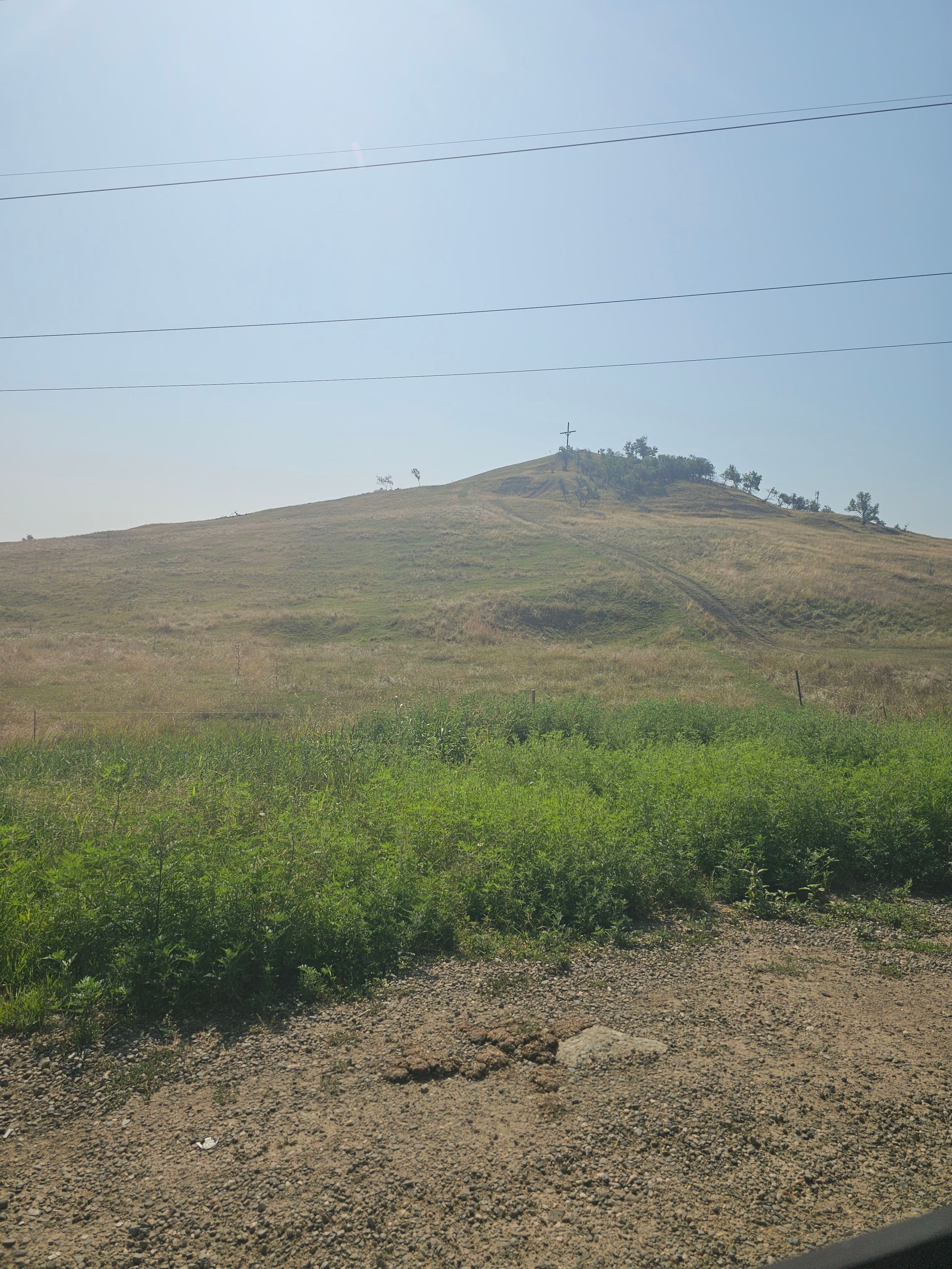 Ambrozie in Strada Holm 2, Lețcani, Comuna Lețcani, Județul Iași - 20250808_102128.jpg