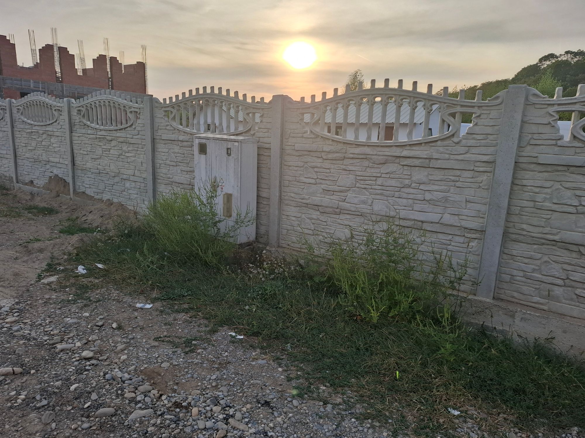 Ambrozie in Str. Saturn 32, Strejnicu, Comuna Târgșoru Vechi, Județul Prahova - 20250907_184242.jpg