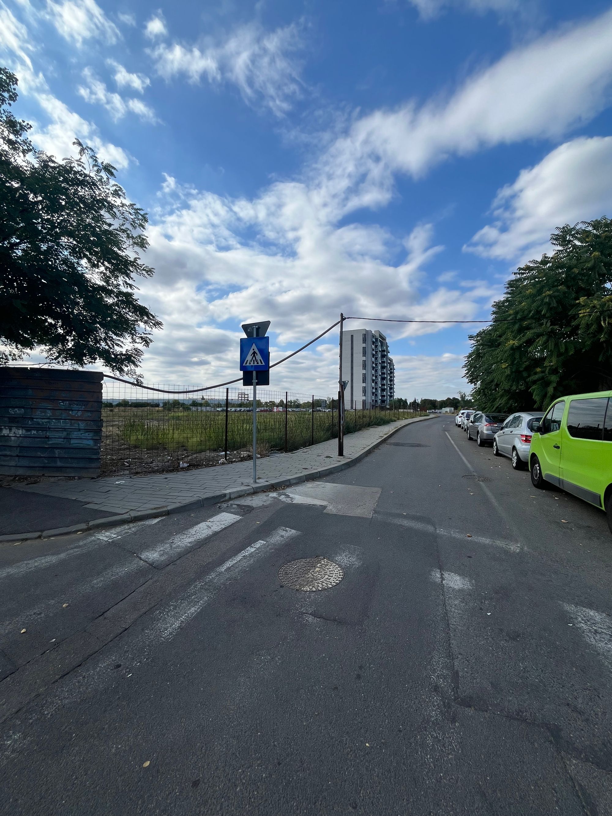 Ambrozie in Strada Vulcan 49, București, Municipiul București - IMG_9178.jpeg