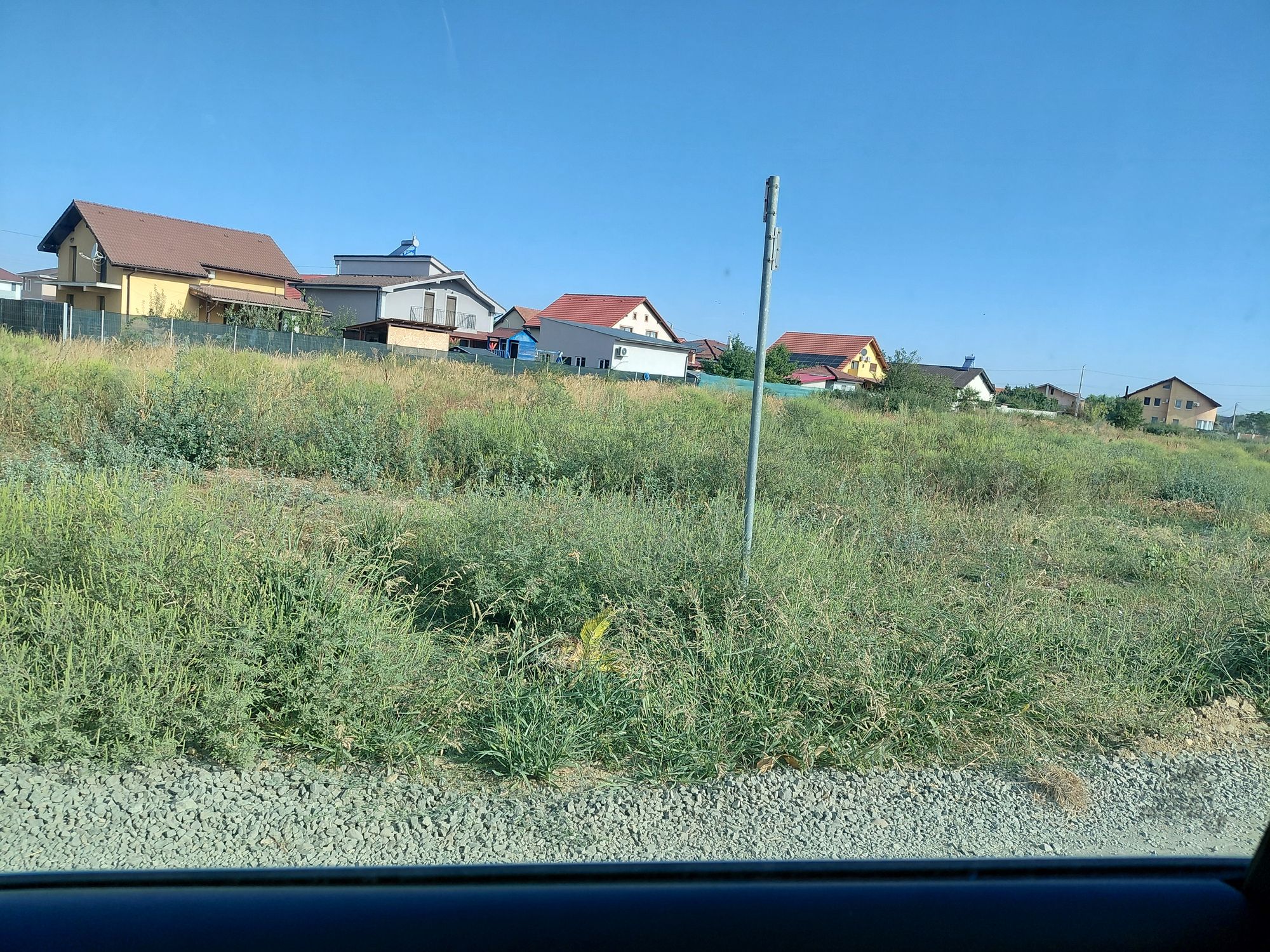 Ambrozie in Str. Adelina 13, Moșnița Nouă, Comuna Moșnița Nouă, Județul Timiș - 1000076974.jpg