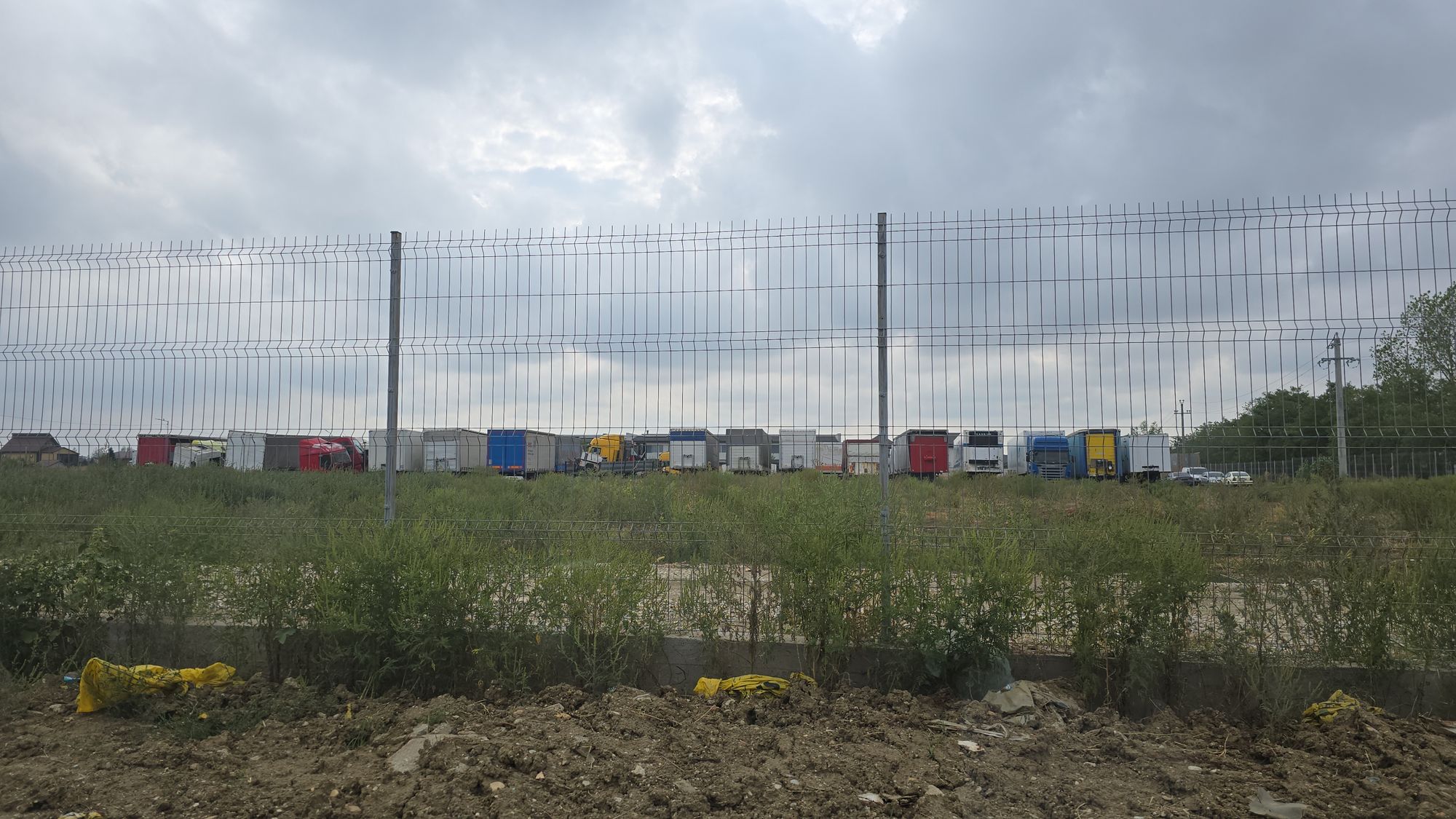 Ambrozie in Strada Salciei 90-92, Bragadiru, Comuna Clinceni, Județul Ilfov - IMG-20250912-WA0019.jpeg