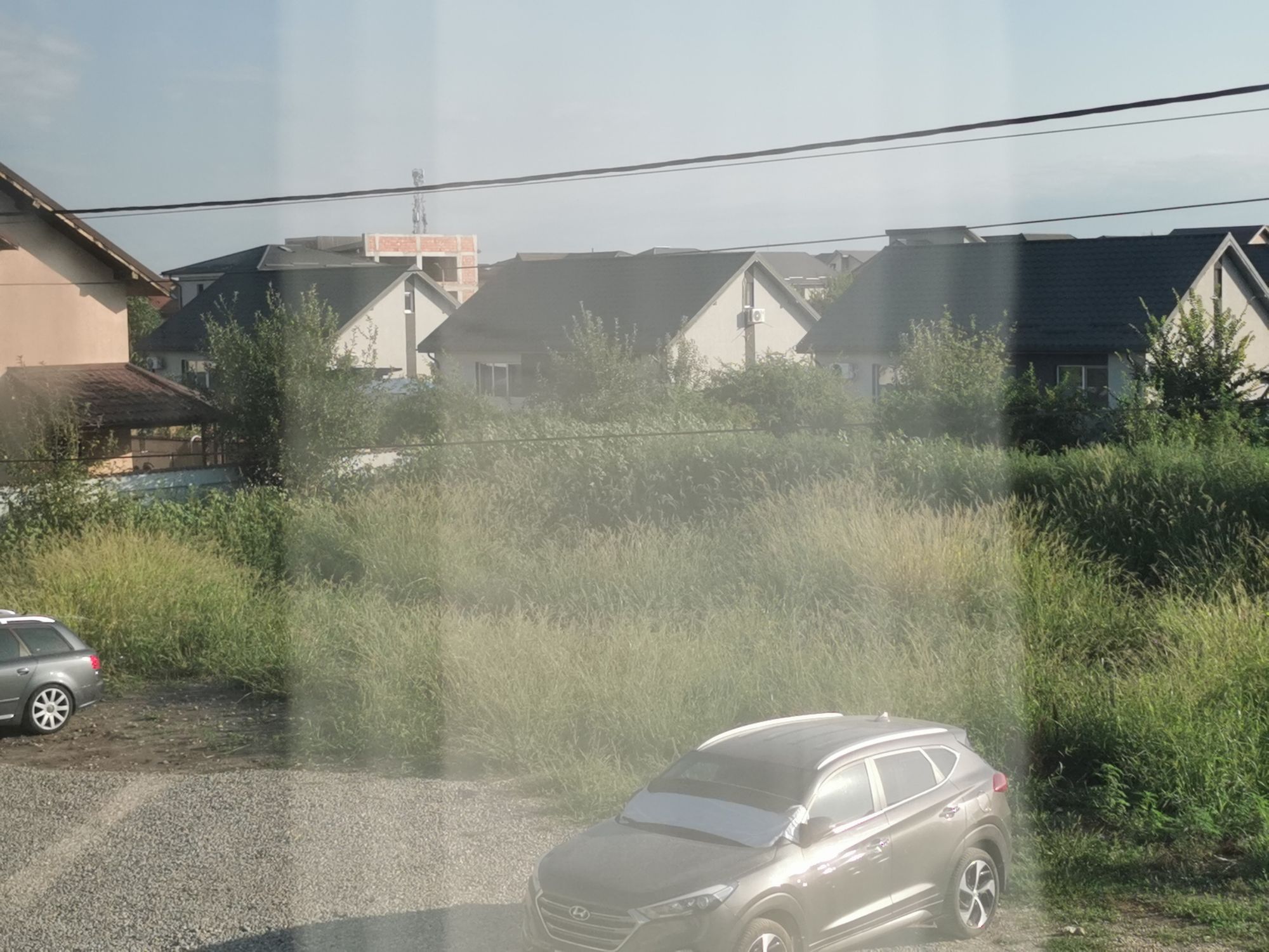 Ambrozie in Strada Dunării 83, Bragadiru, Oraș Bragadiru, Județul Ilfov