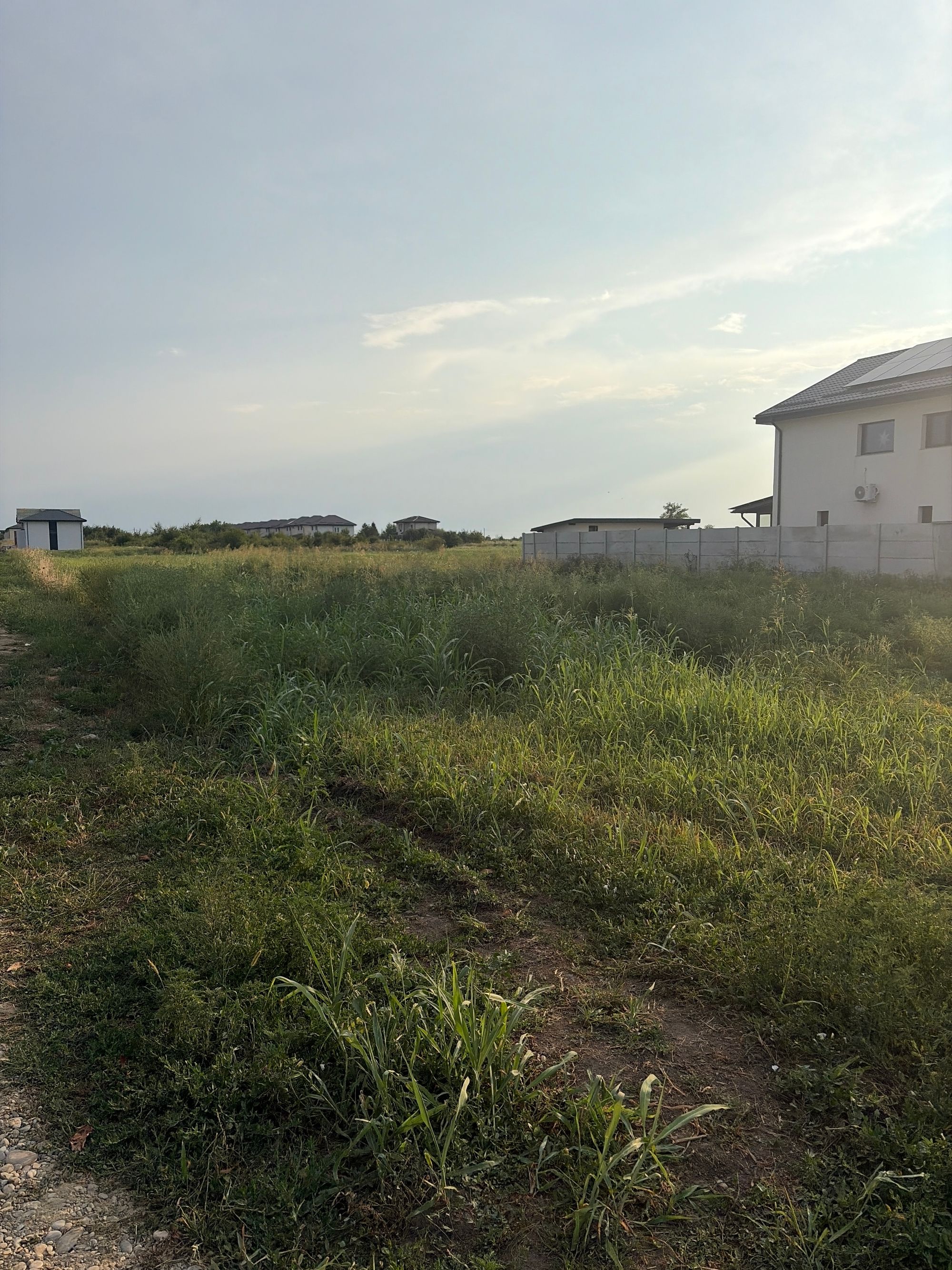 Ambrozie in Strada Stefan cel Mare 49, Odăile, Oraș Otopeni, Județul Ilfov