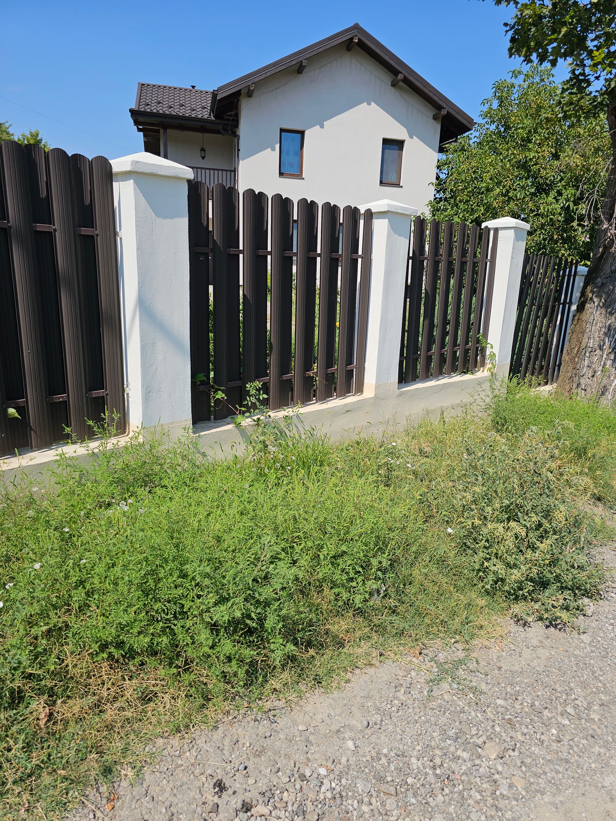 Ambrozie in Strada Iancu Flondor 6, Iași, Municipiu Iaşi, Județul Iași