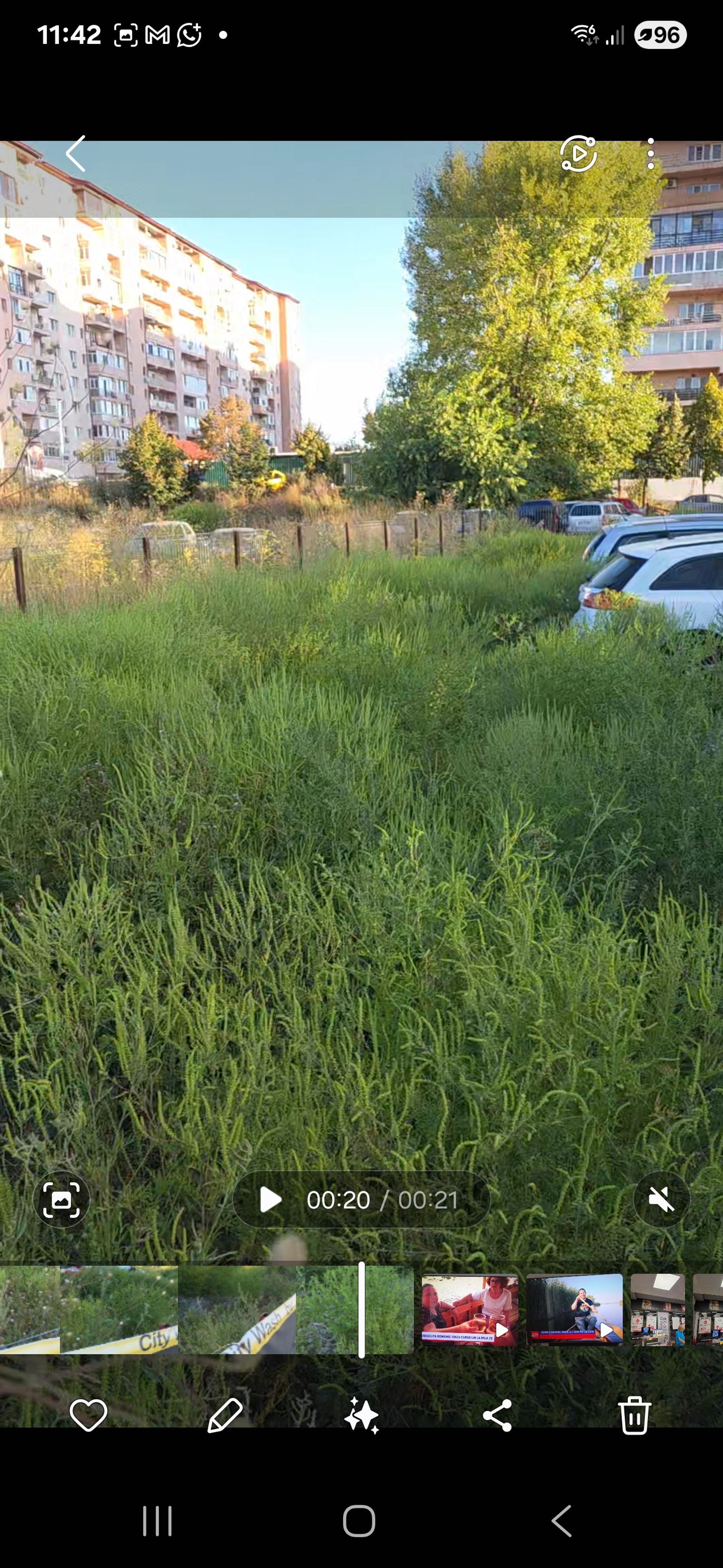 Ambrozie in Popești-Leordeni, Oraş Popeşti Leordeni, Județul Ilfov - Screenshot_20250829_114205_Gallery.jpg