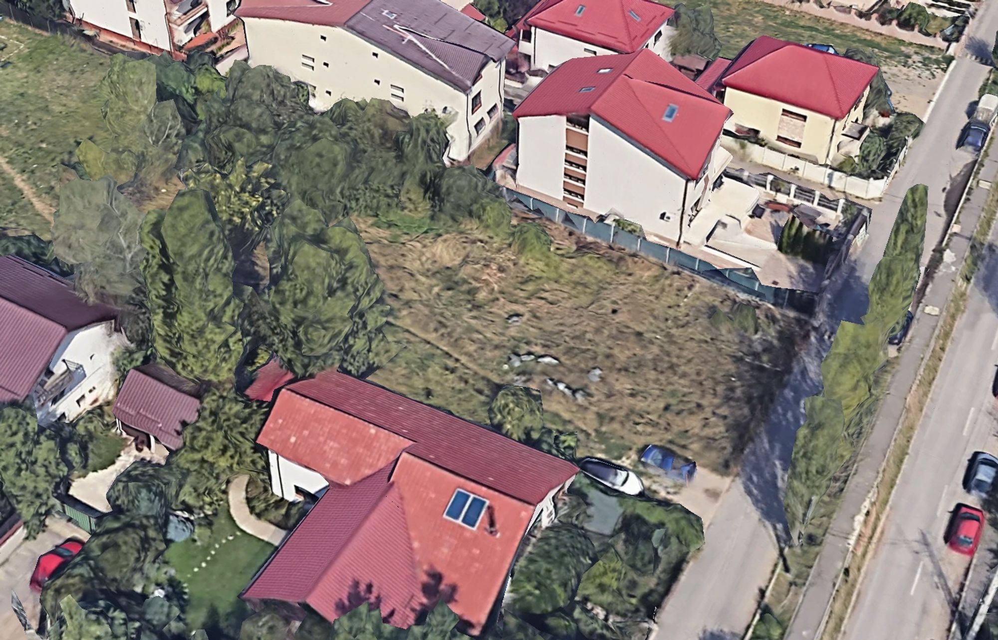 Ambrozie in Strada Crinului 66a, Roșu, Comuna Chiajna, Județul Ilfov