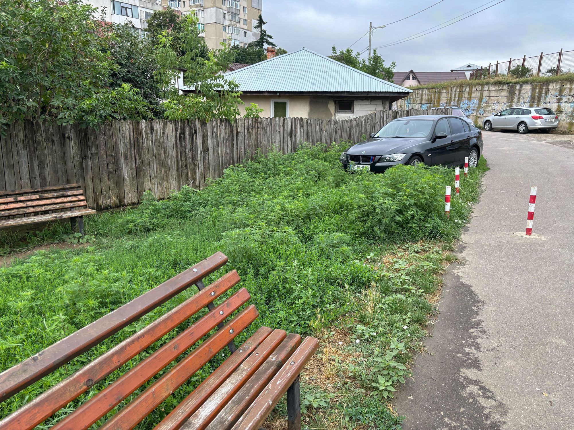 Ambrozie in Strada Ciric 33, Iași, Municipiu Iaşi, Județul Iași