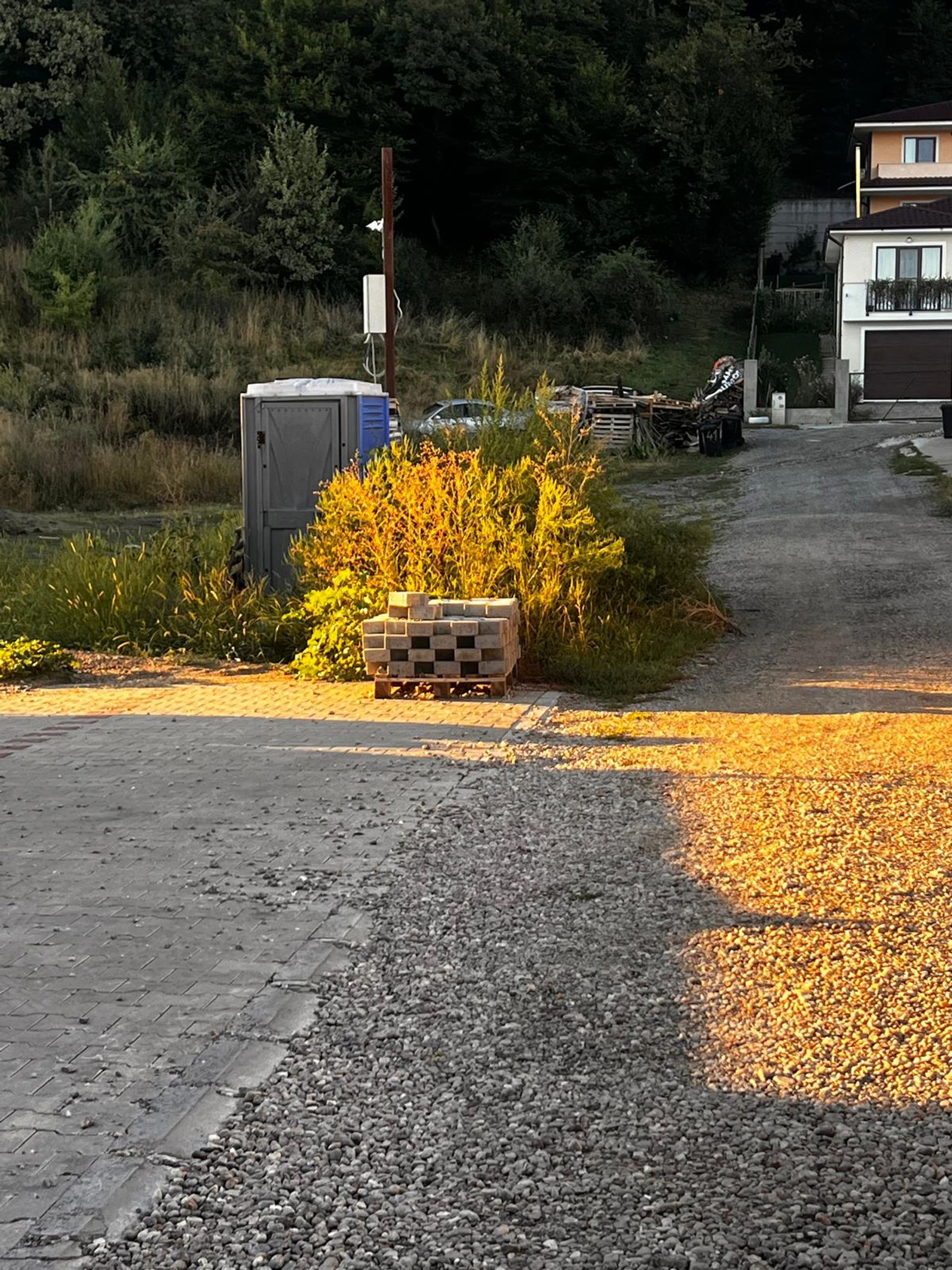 Ambrozie in Strada Sub Cetate FN, Florești, Comuna Florești, Județul Cluj