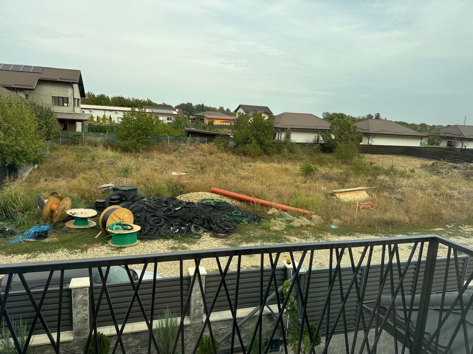 Ambrozie in Strada Randunicii 45a, Clinceni, Comuna Clinceni, Județul Ilfov - image.jpg