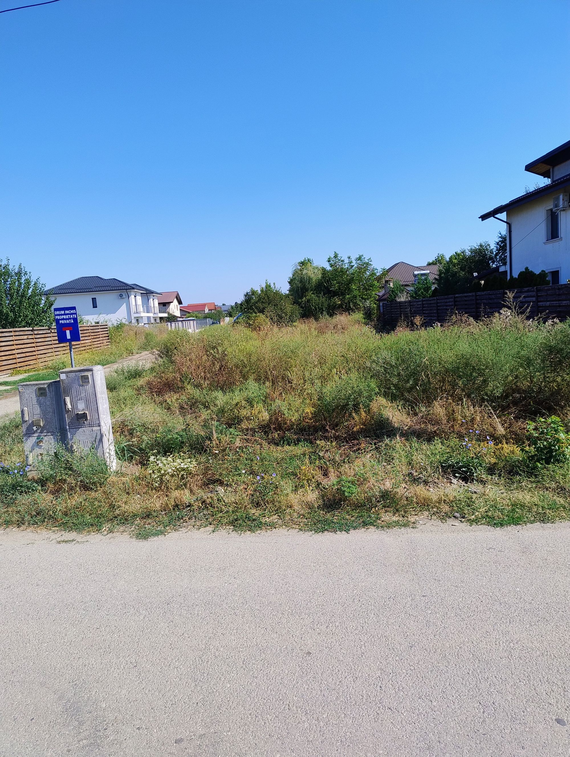 Ambrozie in Strada Peștilor 46, Măgurele, Oraș Măgurele, Județul Ilfov