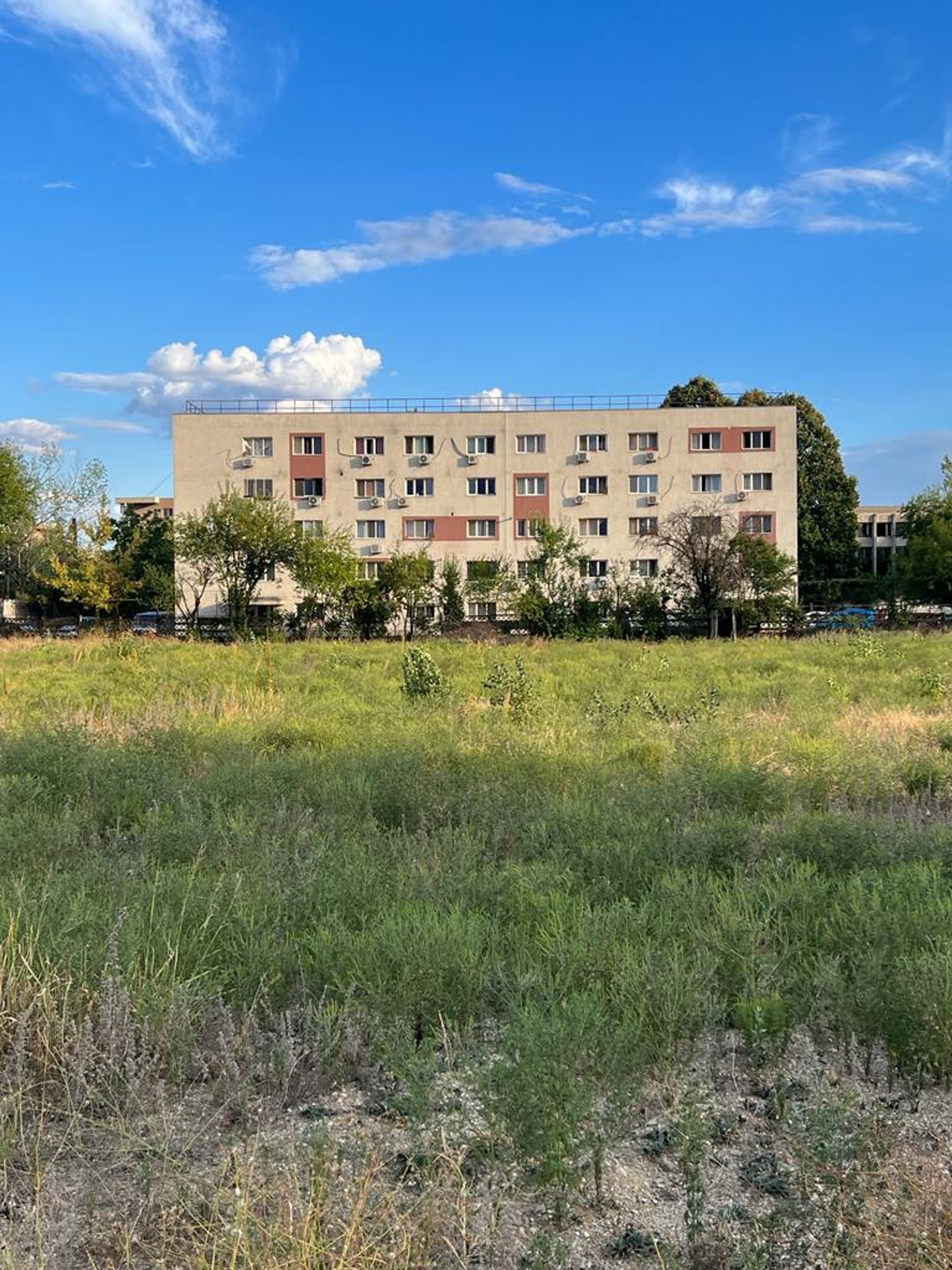 Ambrozie in București, Municipiul București - 464dba99-33f9-45f7-9d93-54aad366cb9d.jpeg
