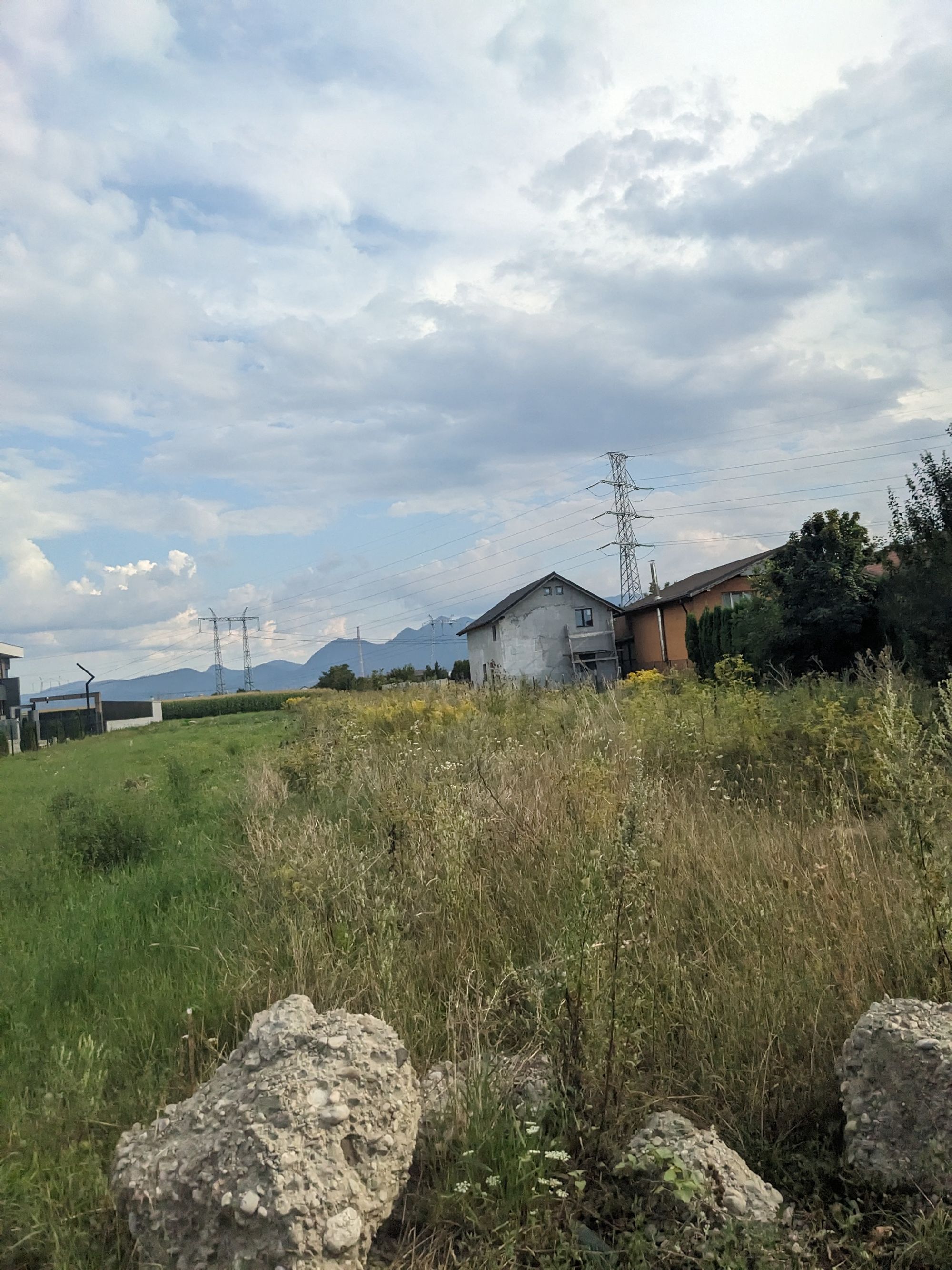 Ambrozie in Calea Hărmanului 8, Sânpetru, Comuna Sânpetru, Județul Brașov - inbound647012175740105311.jpg
