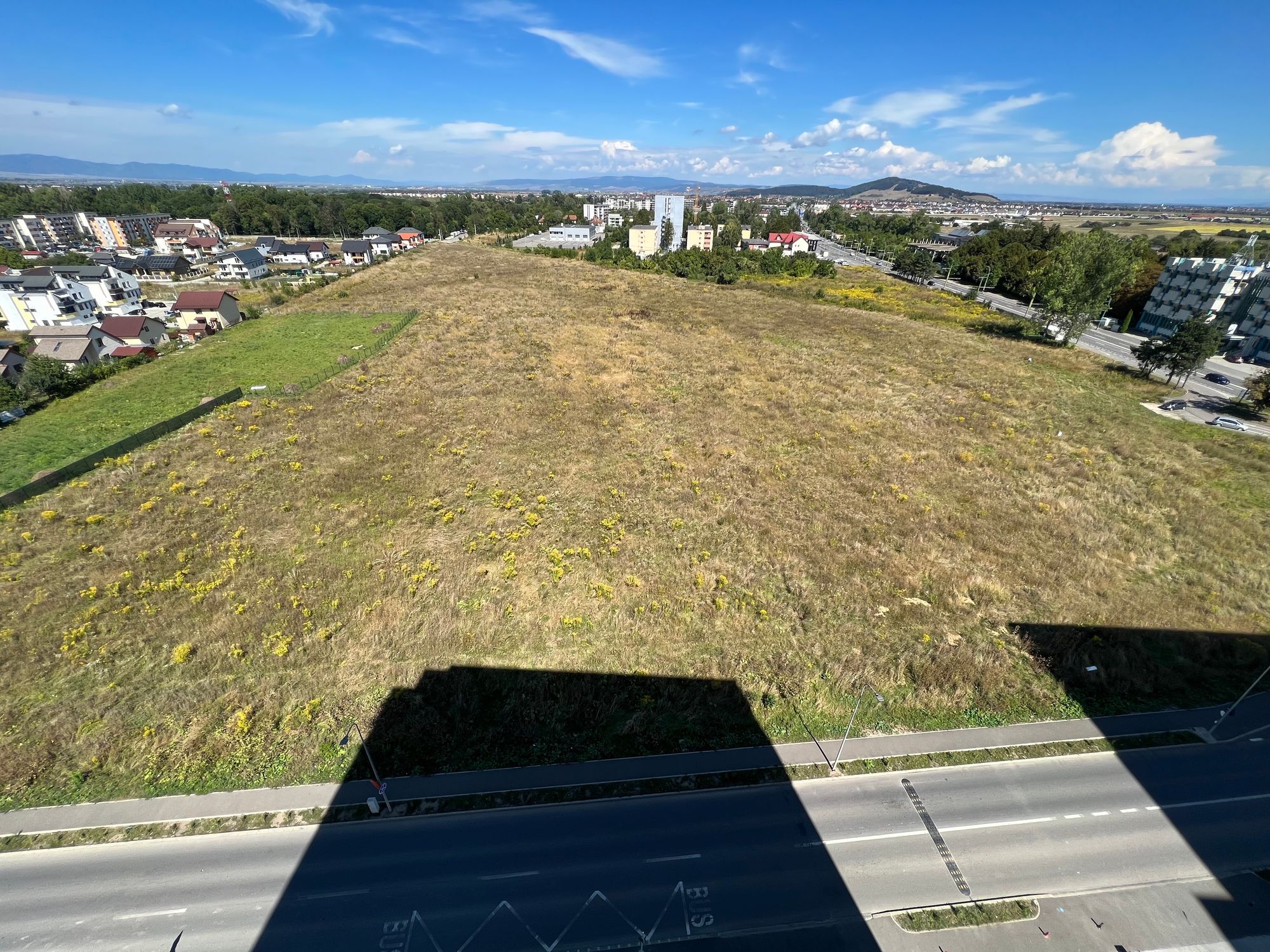 Ambrozie in Brașov, Municipiu Braşov, Județul Brașov - IMG_3647.jpg