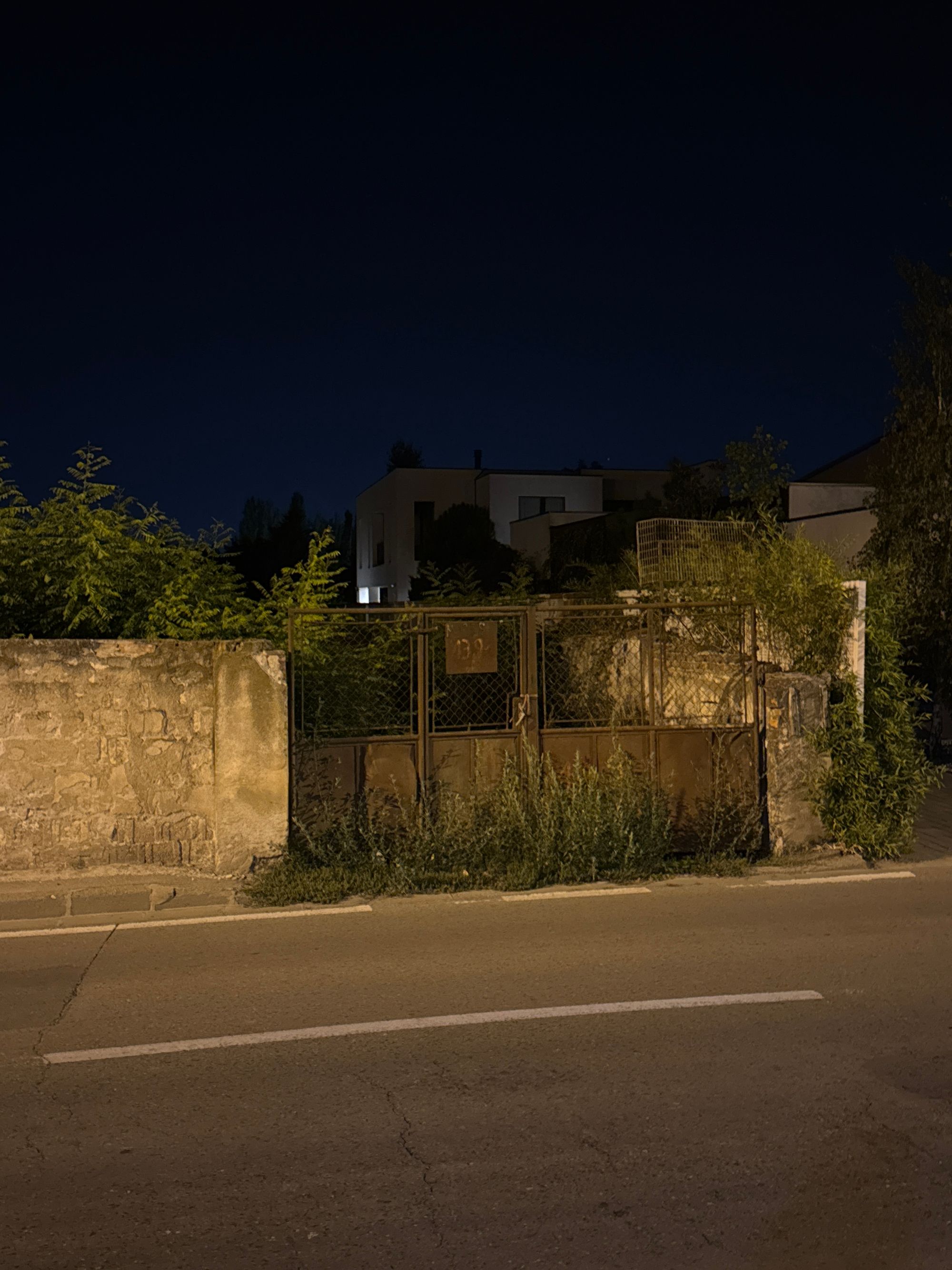 Ambrozie in Strada Mureș 141, Timișoara, Municipiu Timişoara, Județul Timiș - image.jpg