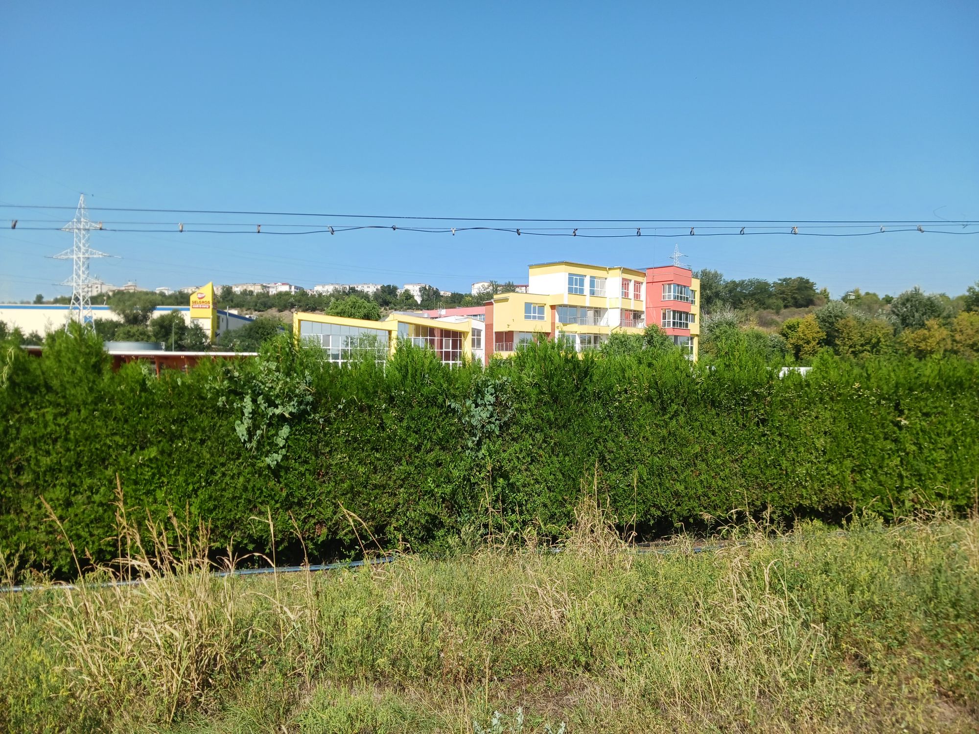 Ambrozie in Strada Jiului 52, Galați, Municipiu Galaţi, Județul Galați - 16942483662948302310745660144963.jpg