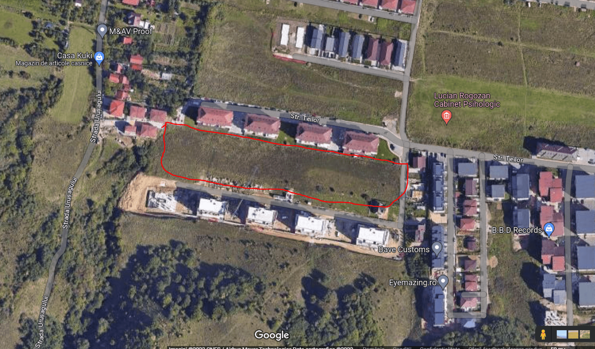 Ambrozie in Strada Teilor 49A, Florești, Comuna Florești, Județul Cluj - AMBROZIE STR TEILOR.PNG