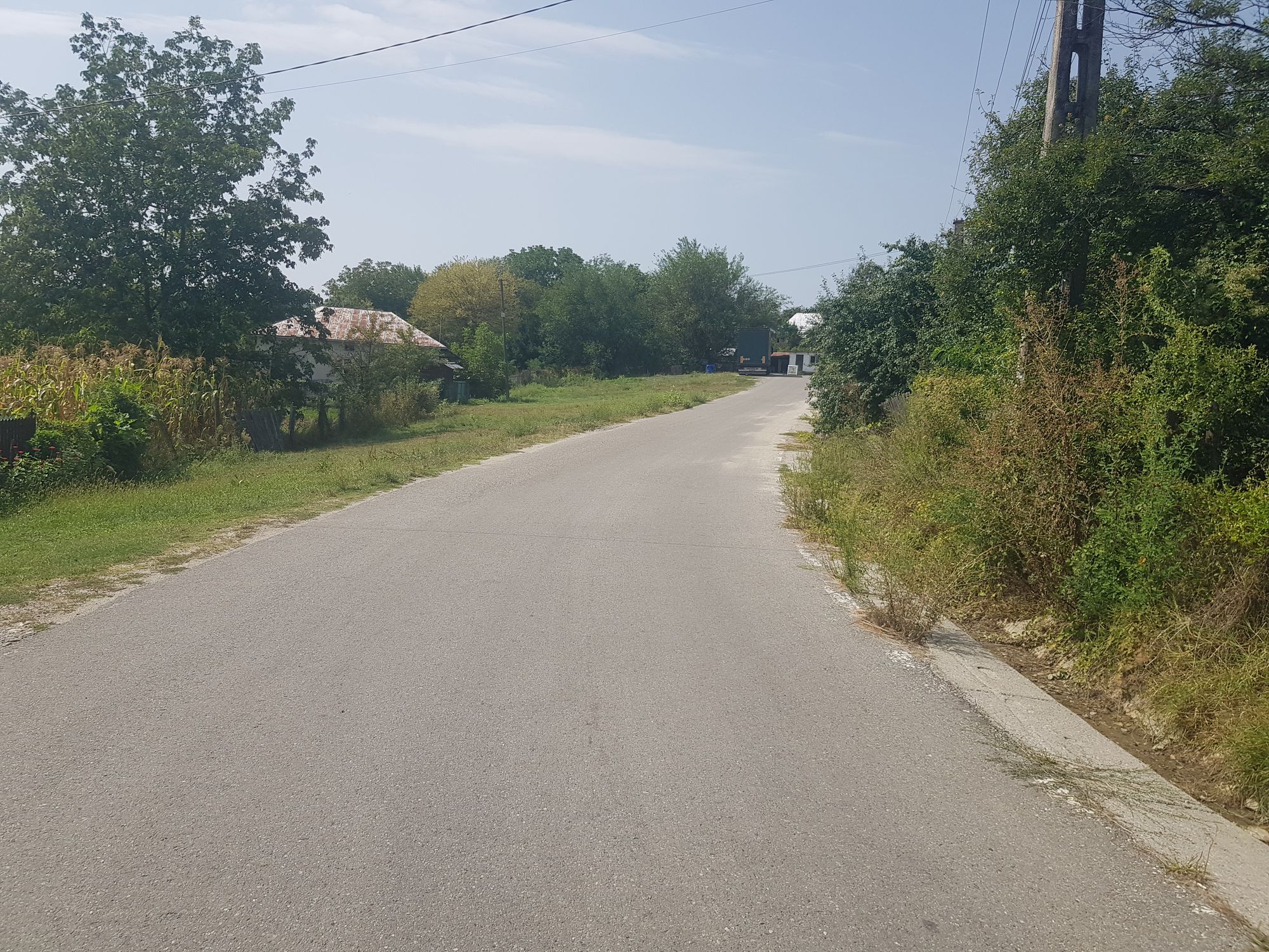 Ambrozie in Strada Surpatele 19, Moşteni, Comuna Frâncești, Județul Vâlcea - 20260829_141733.jpg