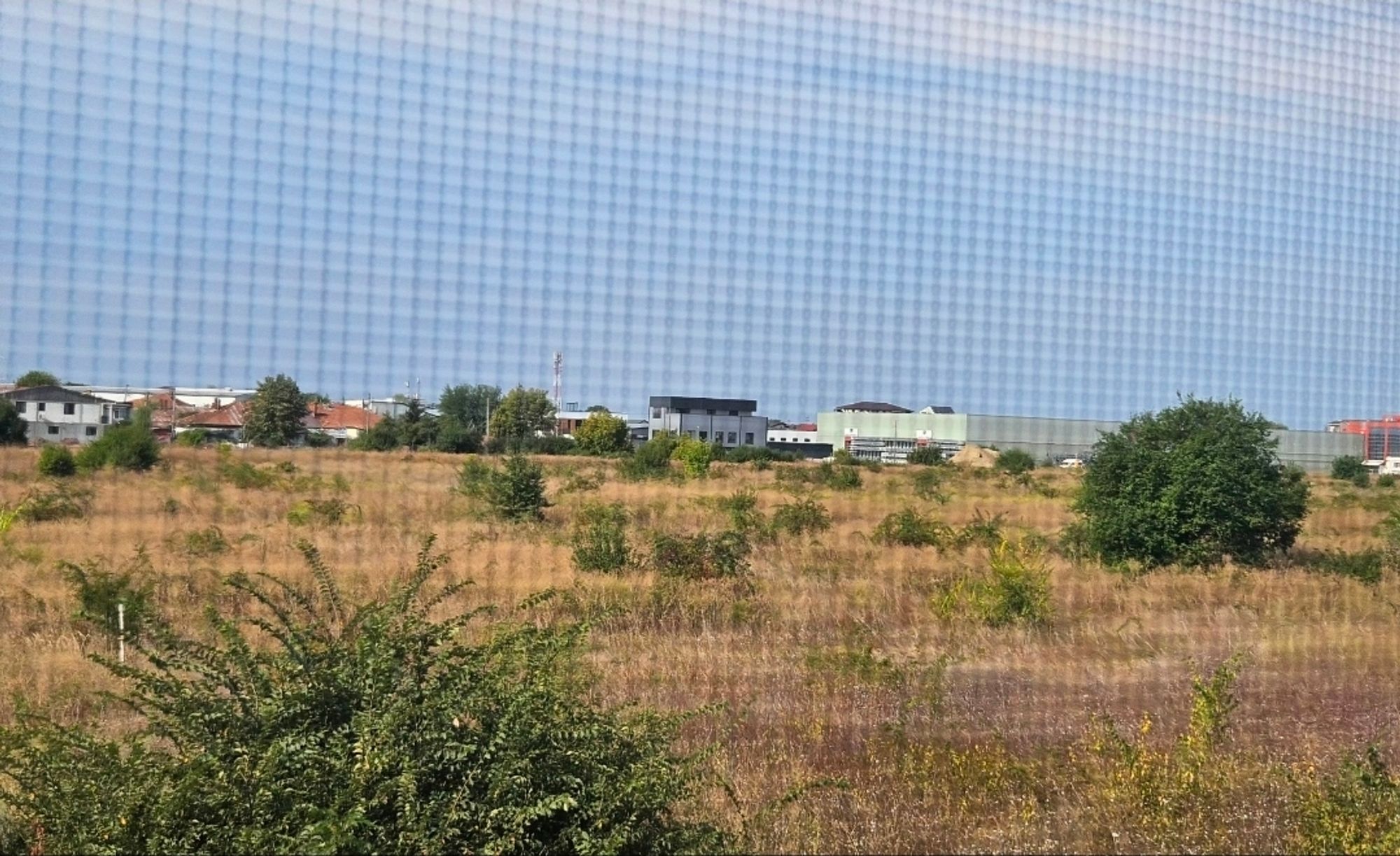 Ambrozie in Strada Libertății 108D, Bragadiru, Oraș Bragadiru, Județul Ilfov