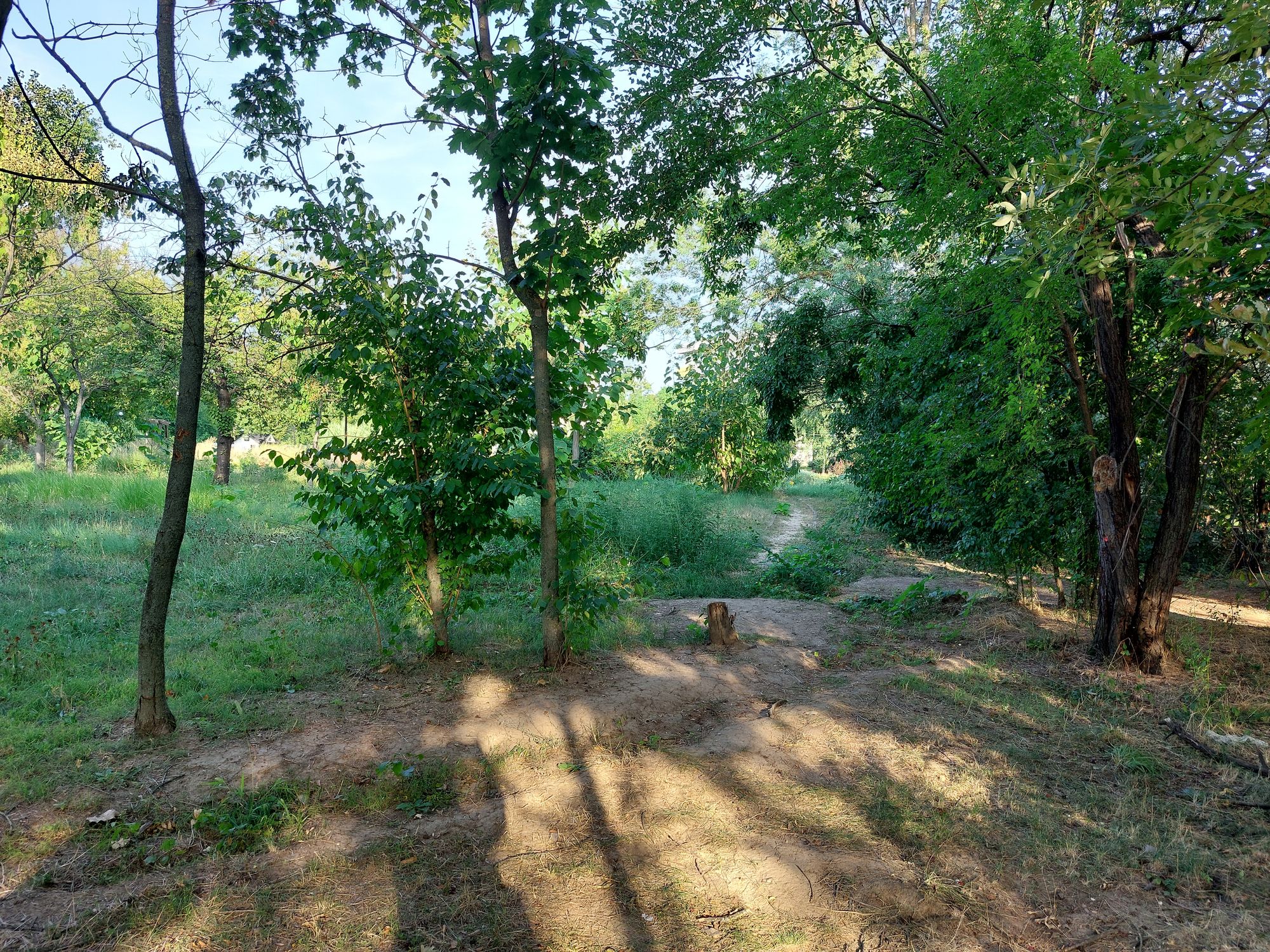 Ambrozie marcată de Mia Mia în București, Municipiul București