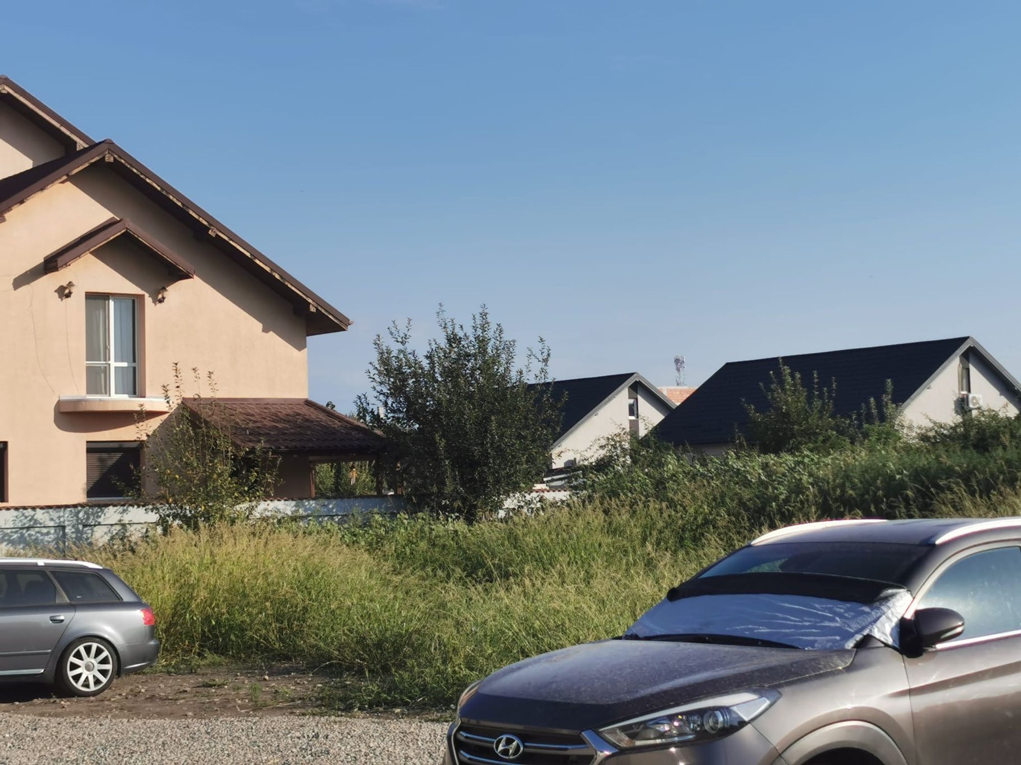 Ambrozie in Strada Dunării 83, Bragadiru, Oraș Bragadiru, Județul Ilfov - 35840b86-7552-479a-8c41-211c99b3ffb2.jpeg