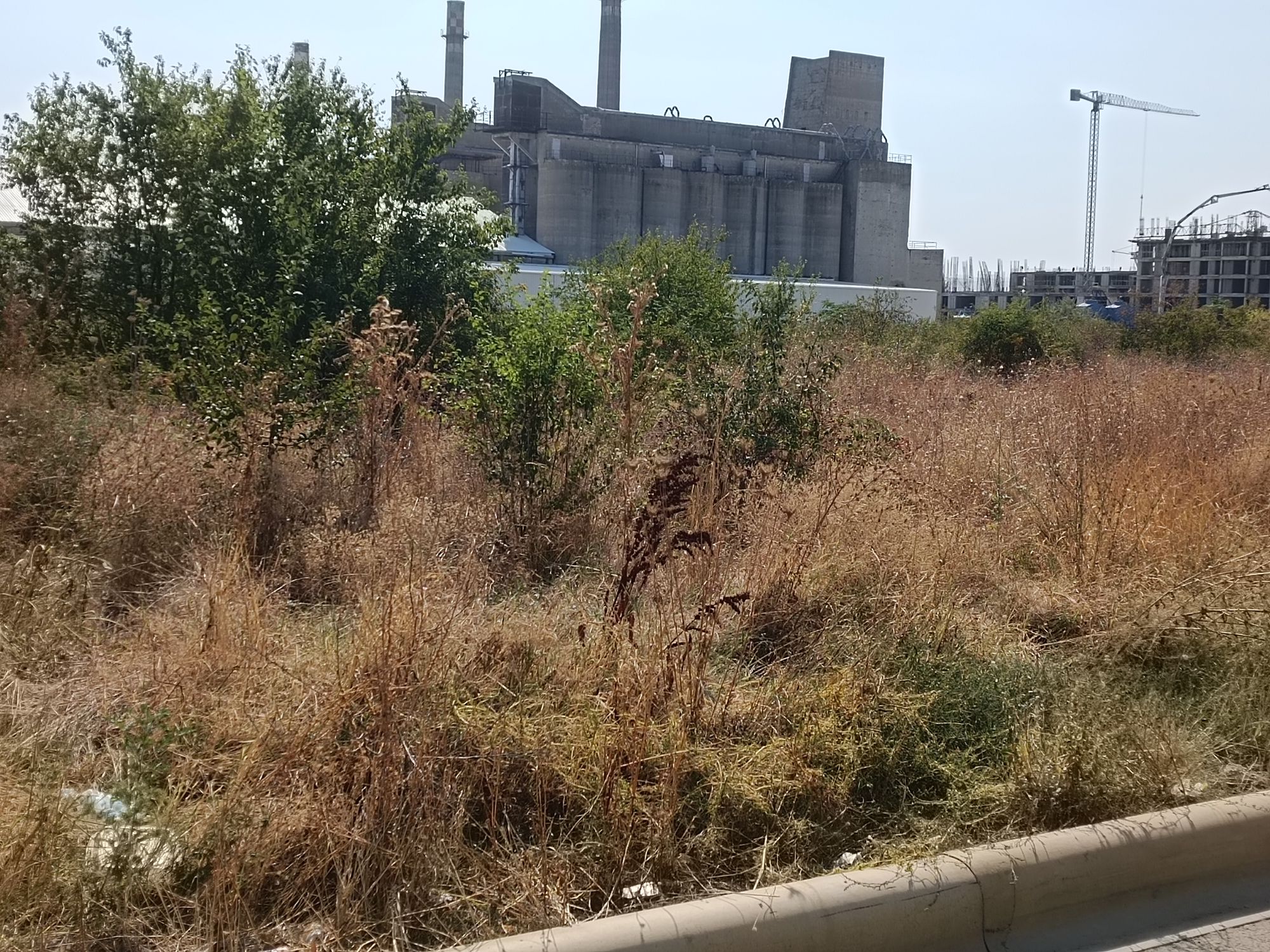 Ambrozie in Drumul Gura Crivățului nr.60, București, Municipiul București