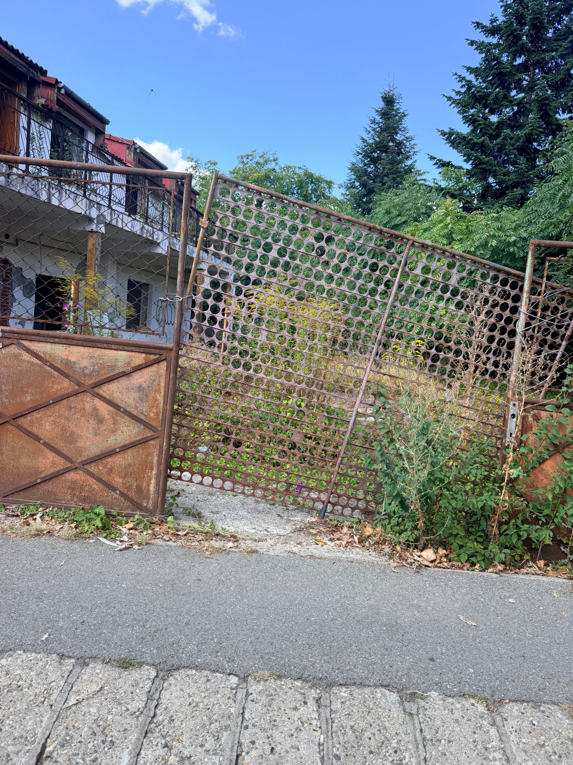 Ambrozie in Strada Argeș 21, Cluj-Napoca, Municipiu Cluj-Napoca, Județul Cluj