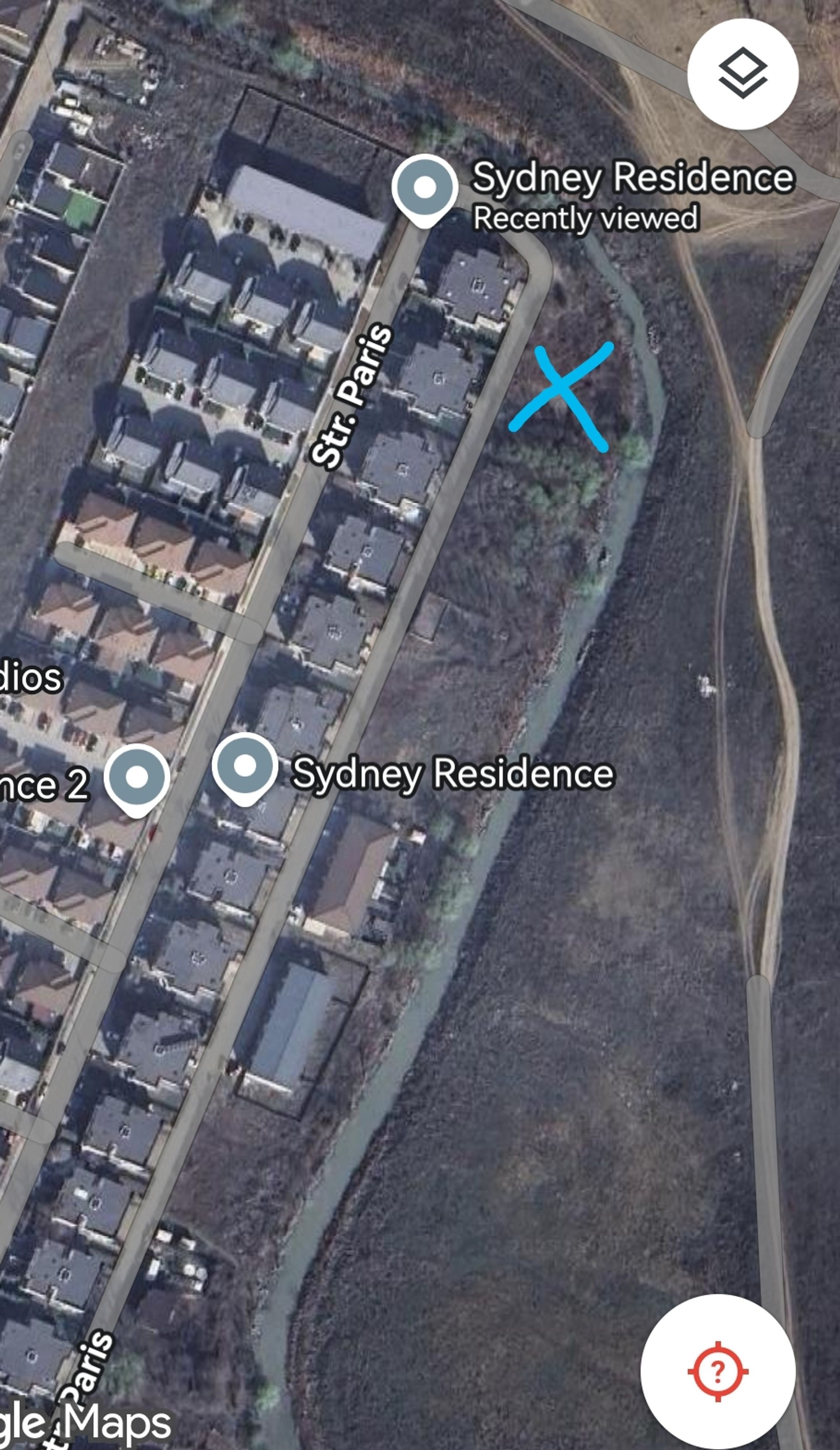 Ambrozie in Strada Paris 26.4, Tunari, Comuna Tunari, Județul Ilfov - Screenshot_20250731_012847.jpg