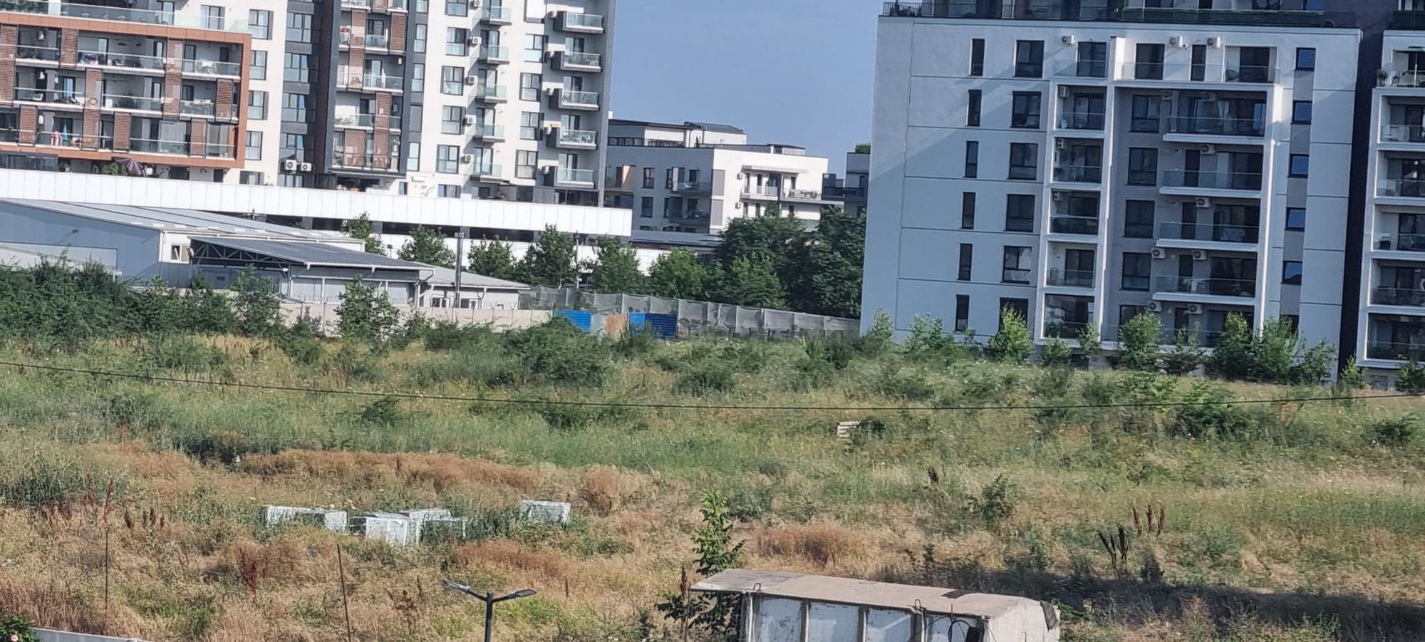 Ambrozie in Strada Drumul Gura Gârliței 16, București, Municipiul București - WhatsApp Image 2026-07-15 at 08.50.23.jpeg
