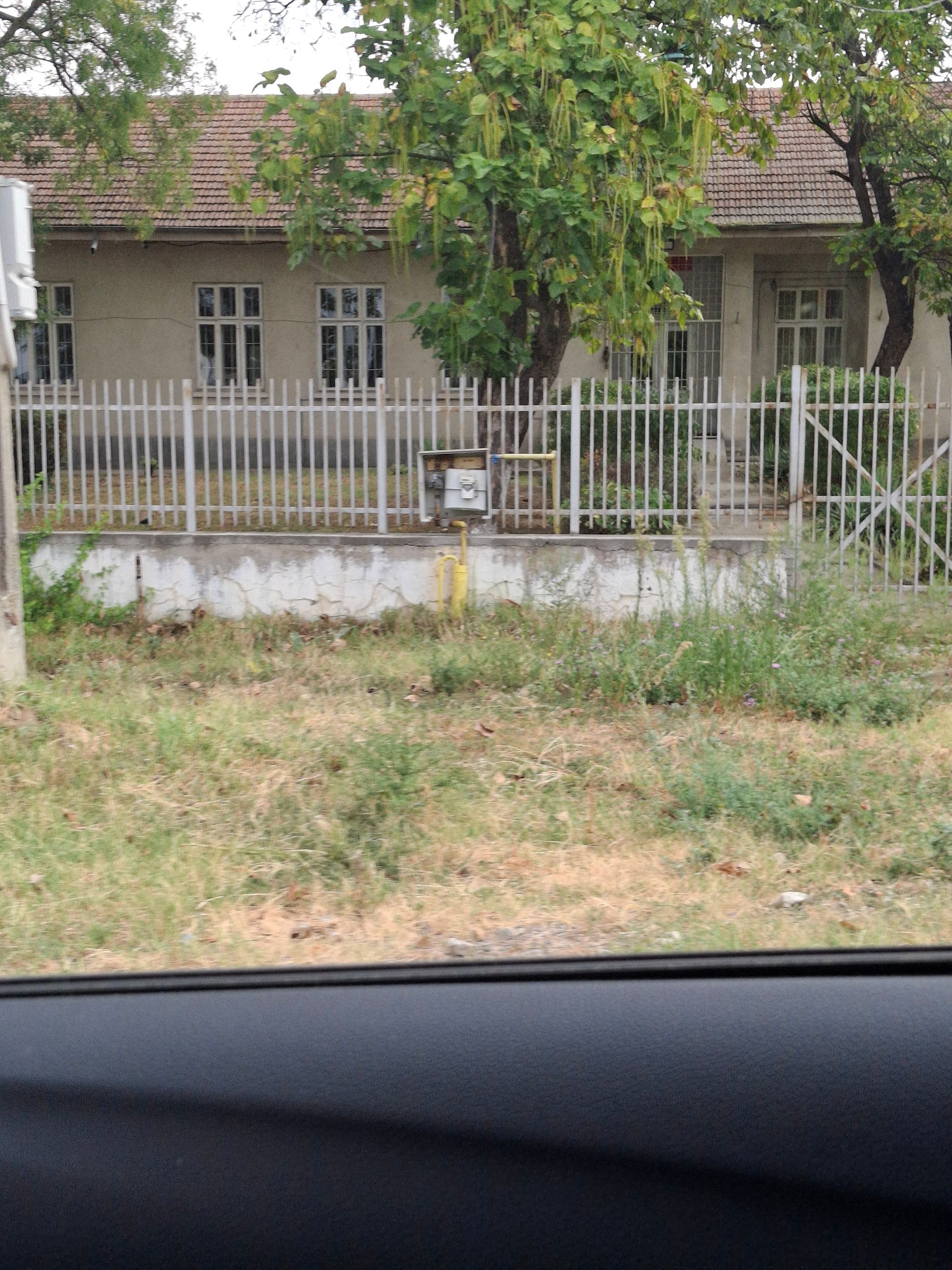 Ambrozie in Strada Prelungirea Bechetului 3, Craiova, Municipiu Craiova, Județul Dolj