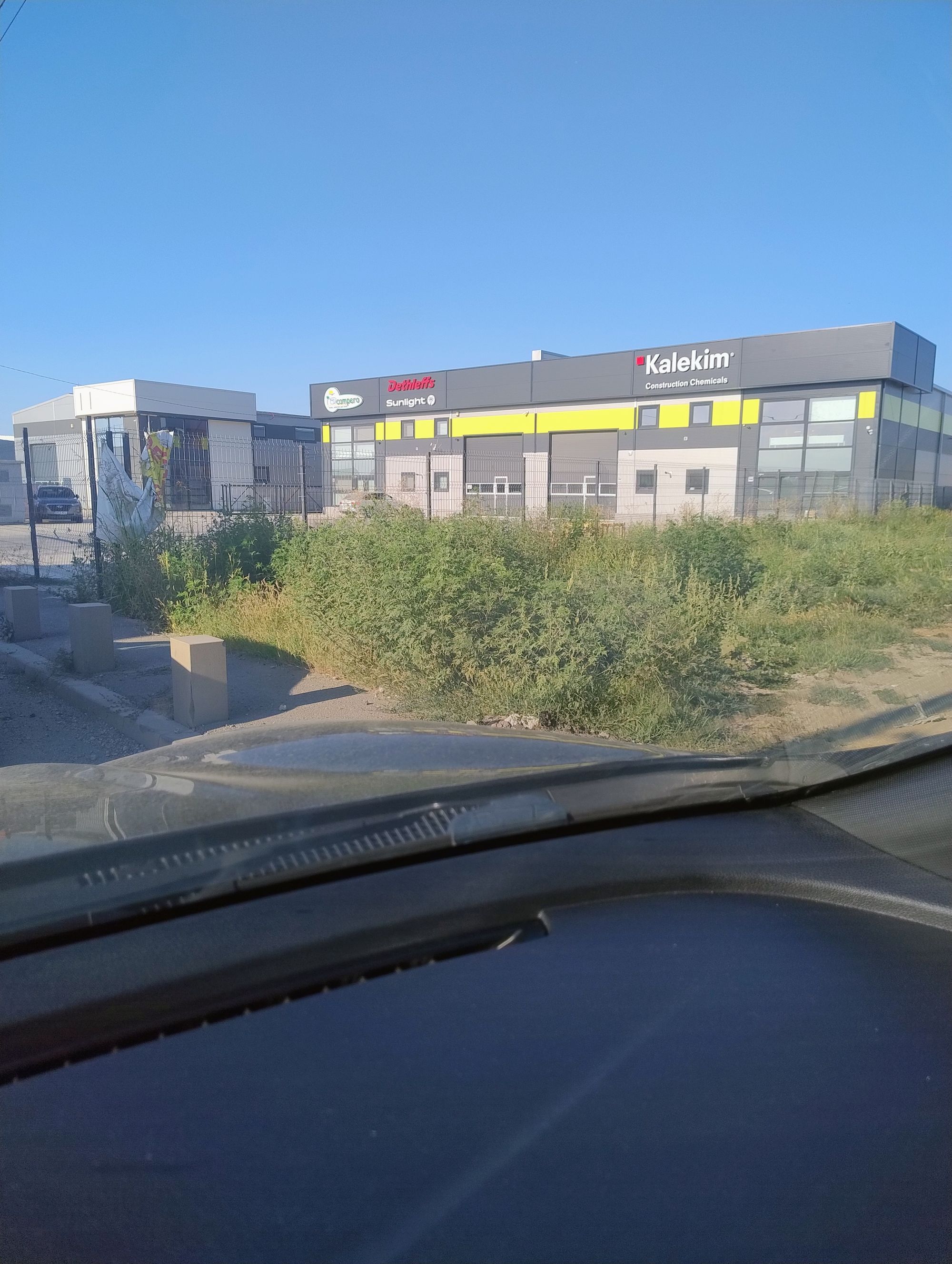 Ambrozie in Strada Industriilor 54, Chiajna, Comuna Chiajna, Județul Ilfov