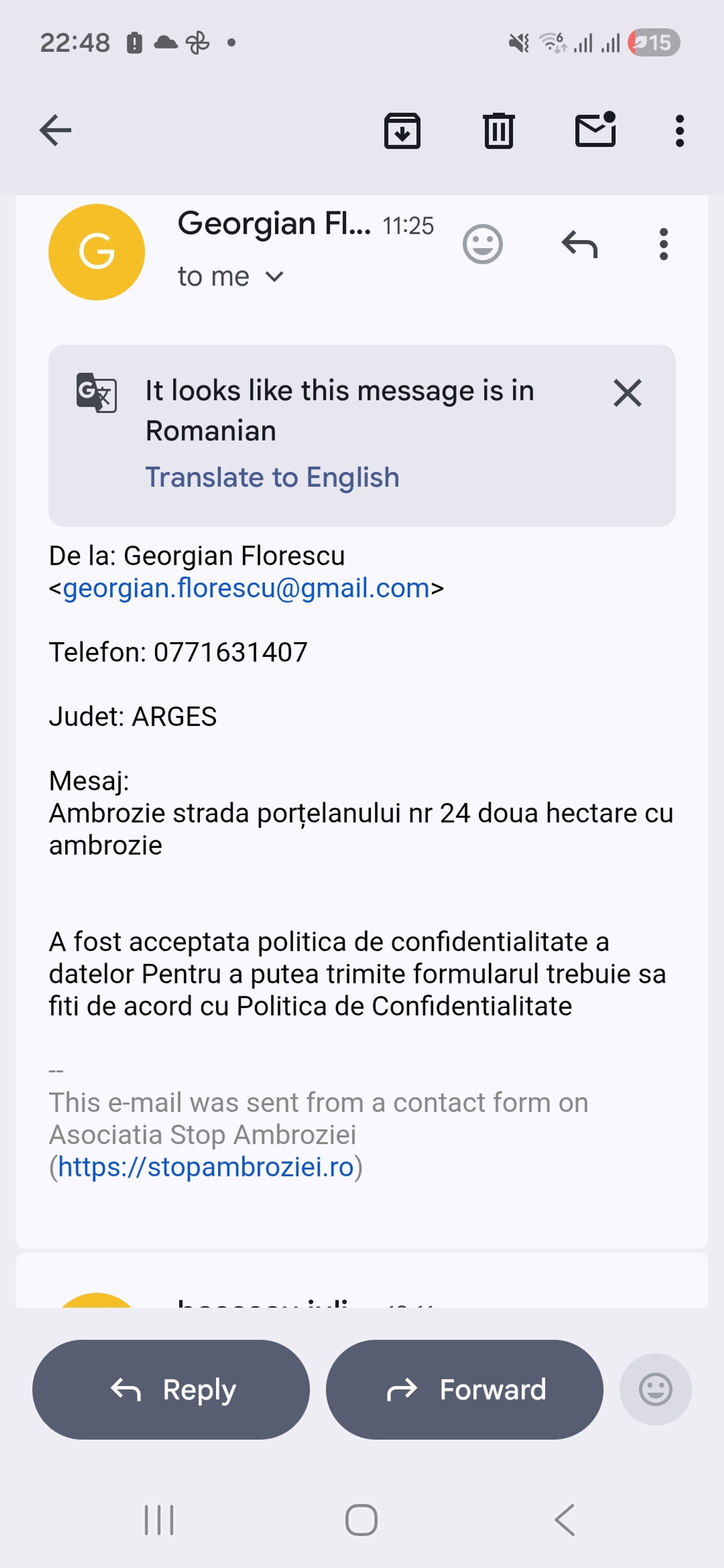 Ambrozie in Strada Porţelanului 24, Curtea de Argeș, Municipiu Curtea de Argeș, Județul Argeș