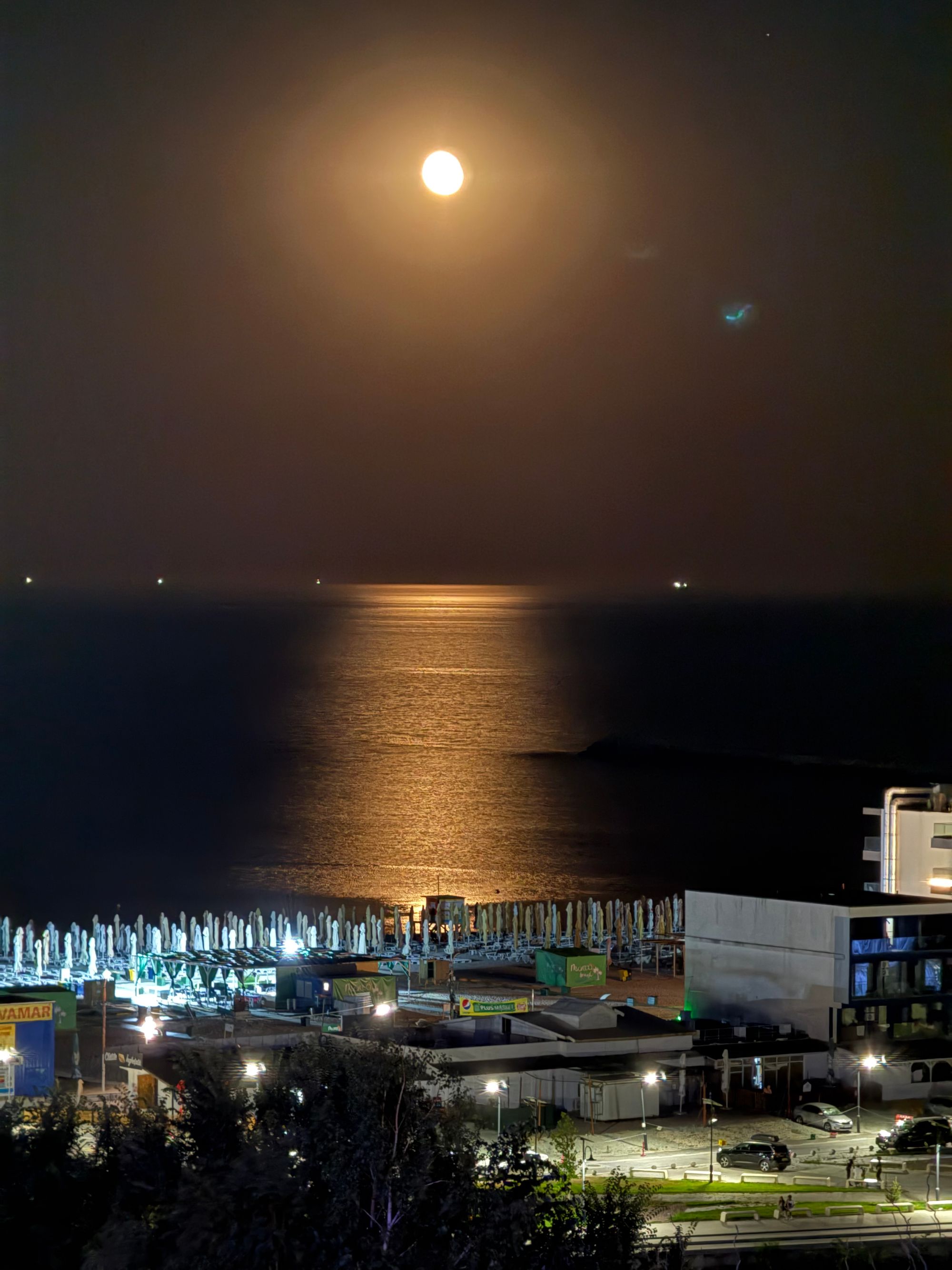 Ambrozie in Str. Lămâiței B1, Cihei, Comuna Sânmartin, Județul Bihor - IMG_1719.jpeg