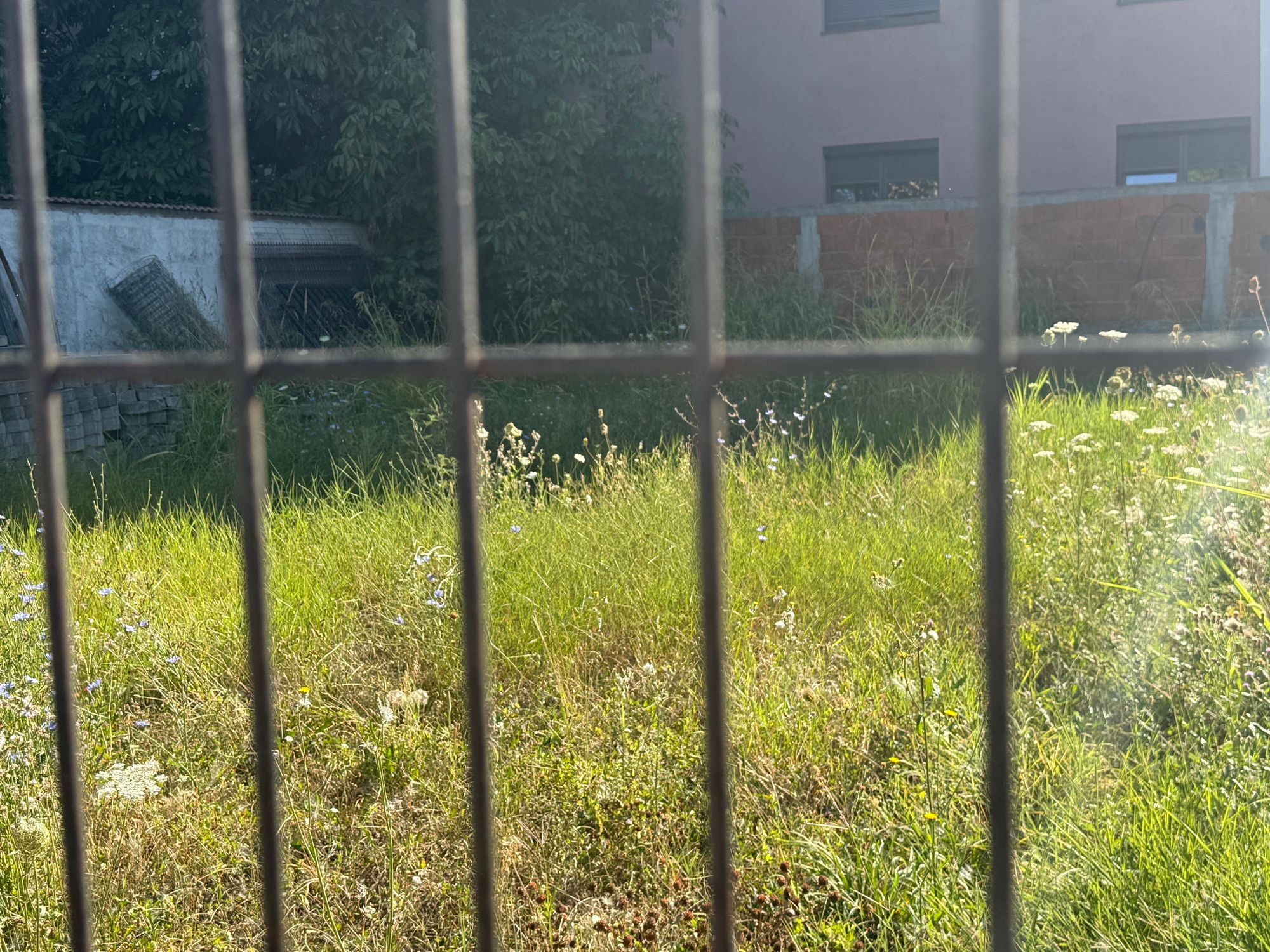 Ambrozie in Prelungirea Ghencea 268A, București, Municipiul București