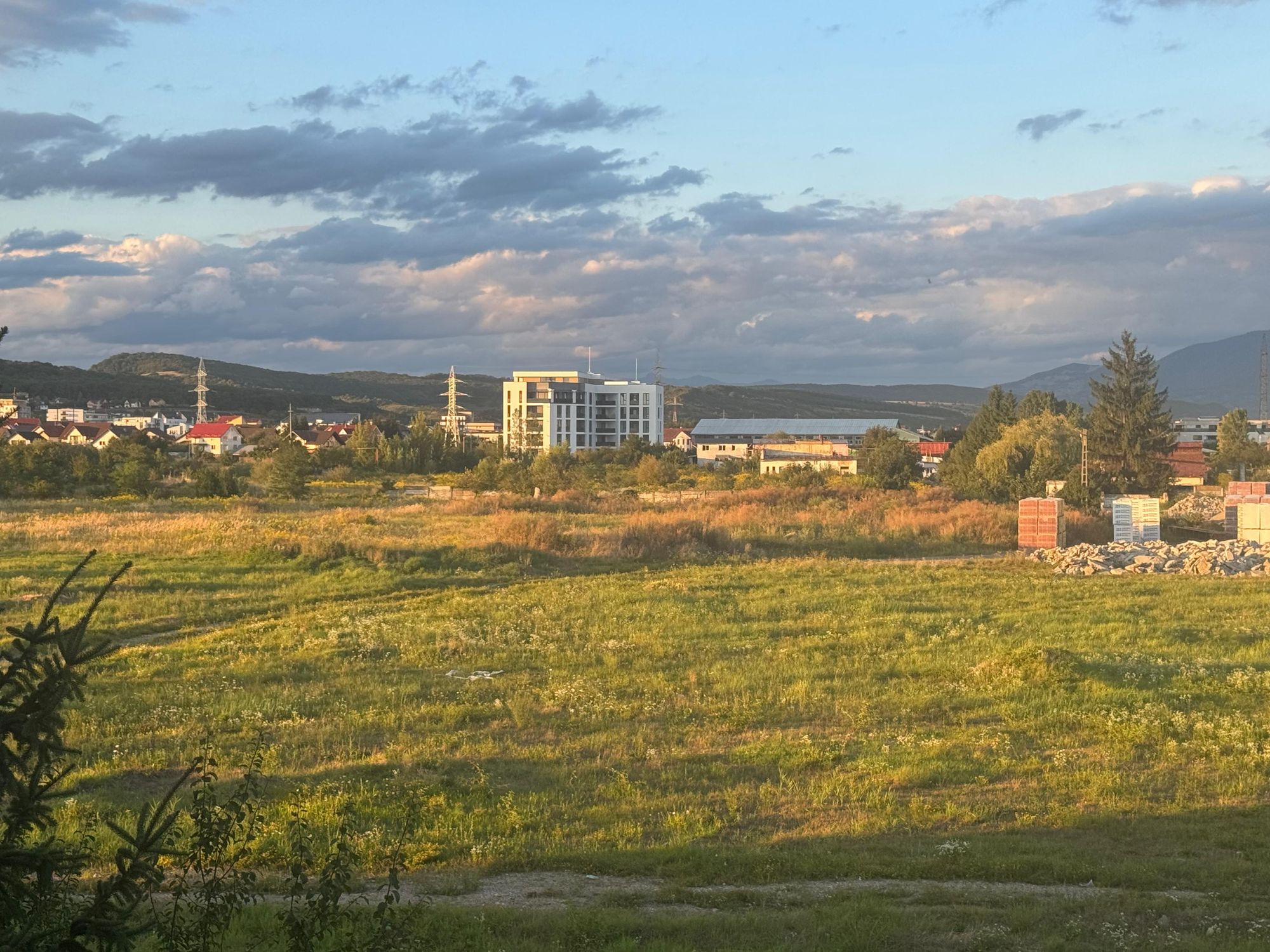 Ambrozie in Aleea Fantanele 6, Bistrița, Municipiu Bistriţa, Județul Bistrița-Năsăud