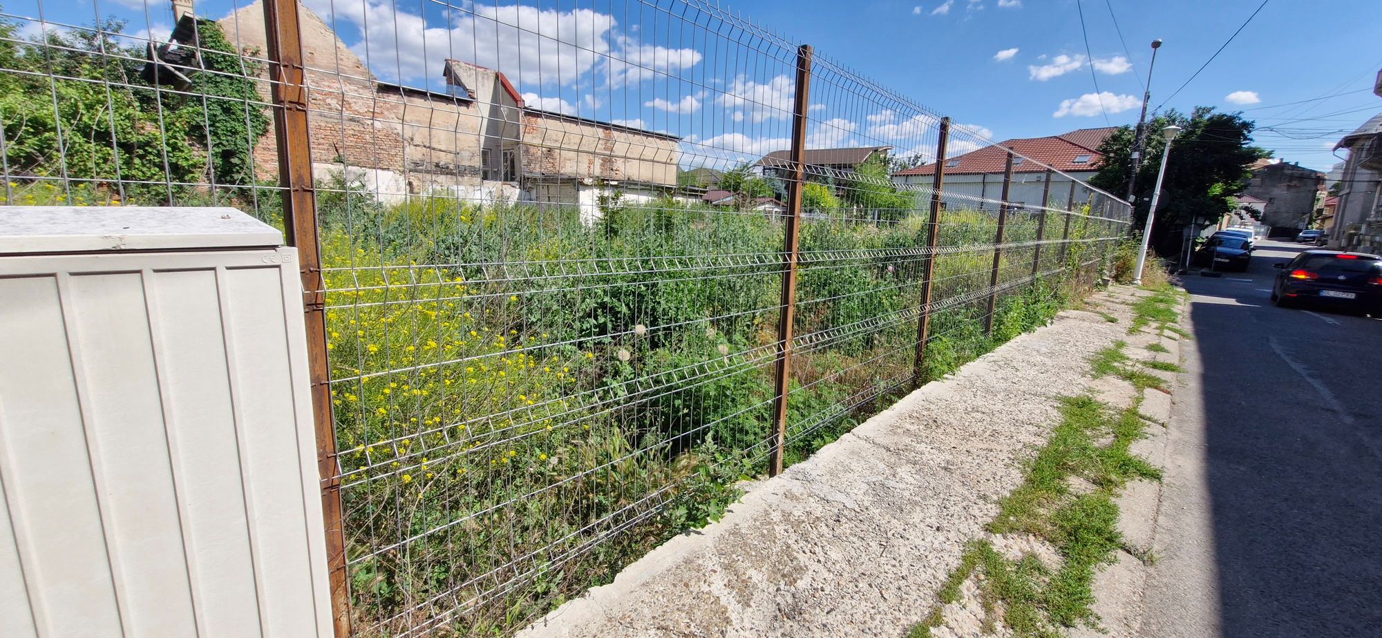 Ambrozie in Strada Logofăt Tăutu 16, Galați, Municipiu Galați, Județul Galați - 20260619_160709.jpg