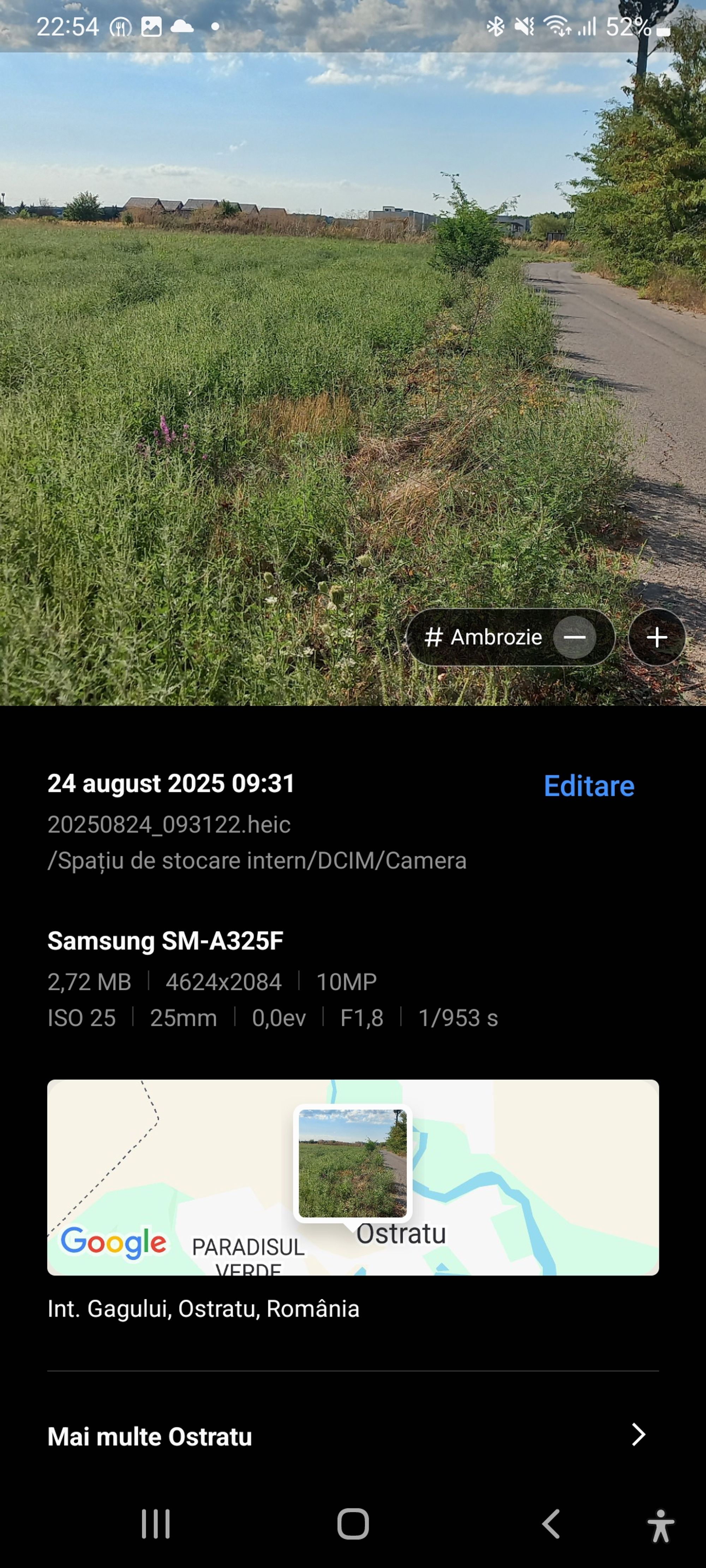 Ambrozie in Corbeanca, Comuna Corbeanca, Județul Ilfov - Screenshot_20250905_225406_Gallery.jpg