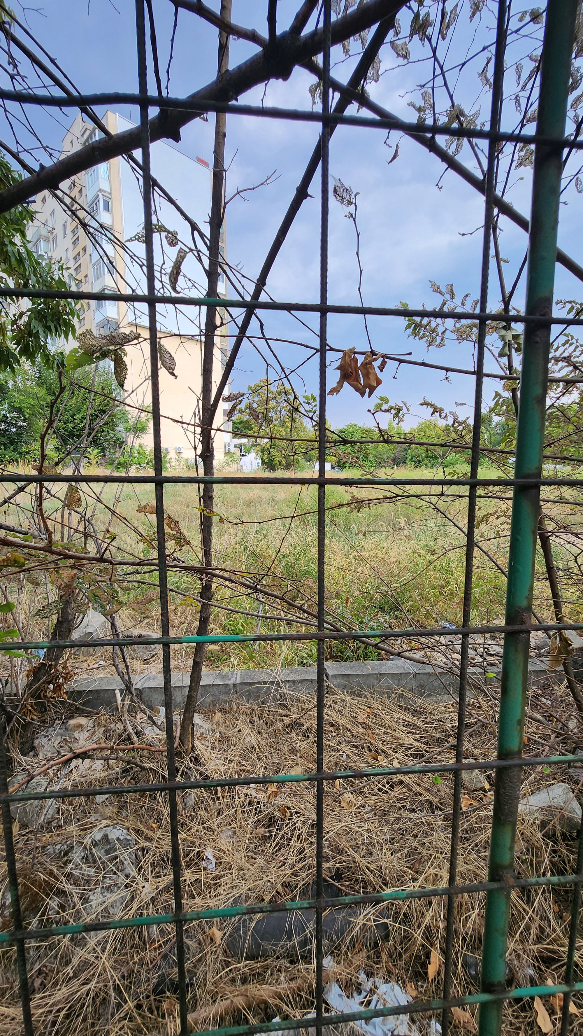 Ambrozie in Strada Dristorului 85, București, Municipiul București - 1000153358.jpg