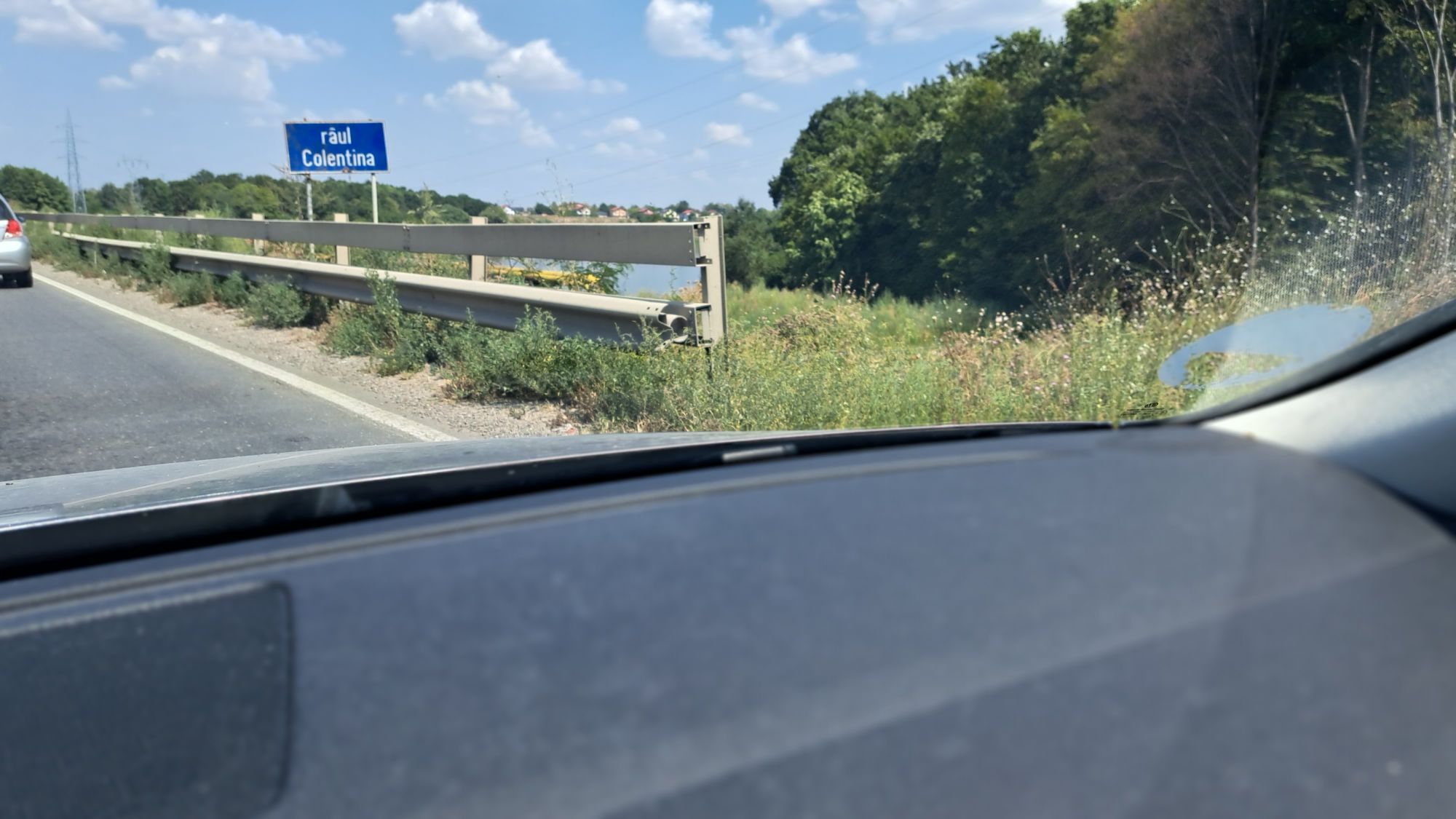 Ambrozie in Pantelimon, Ilfov County - 20230826_125820.jpg