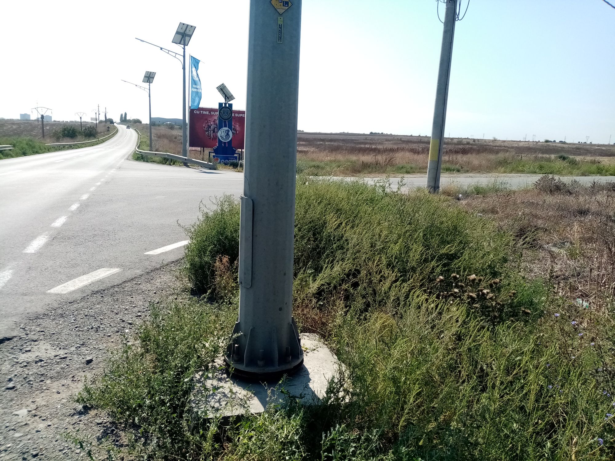 Ambrozie in Strada Gheorghe hagi, Oraş Ovidiu, Județul Constanța - IMG_20230906_111844.jpg