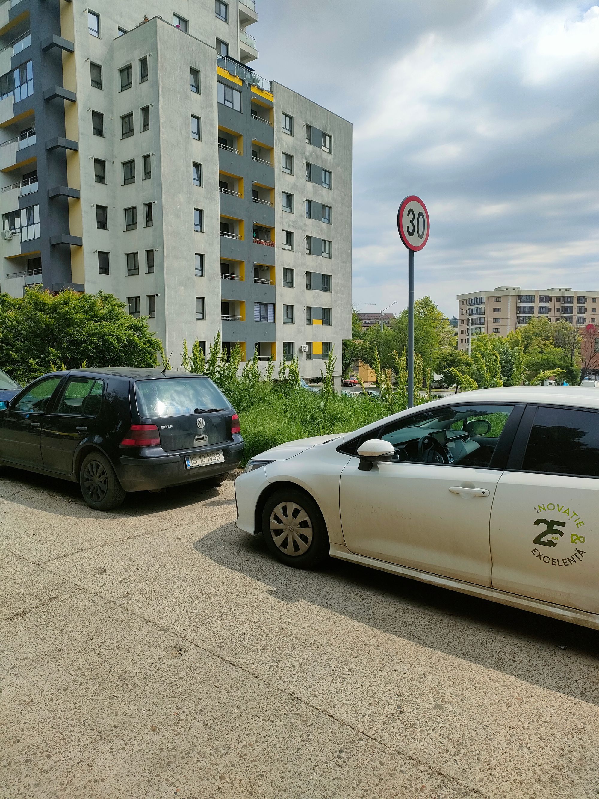 Ambrozie in Șoseaua Nicolina 177, Iași, Municipiu Iași, Județul Iași