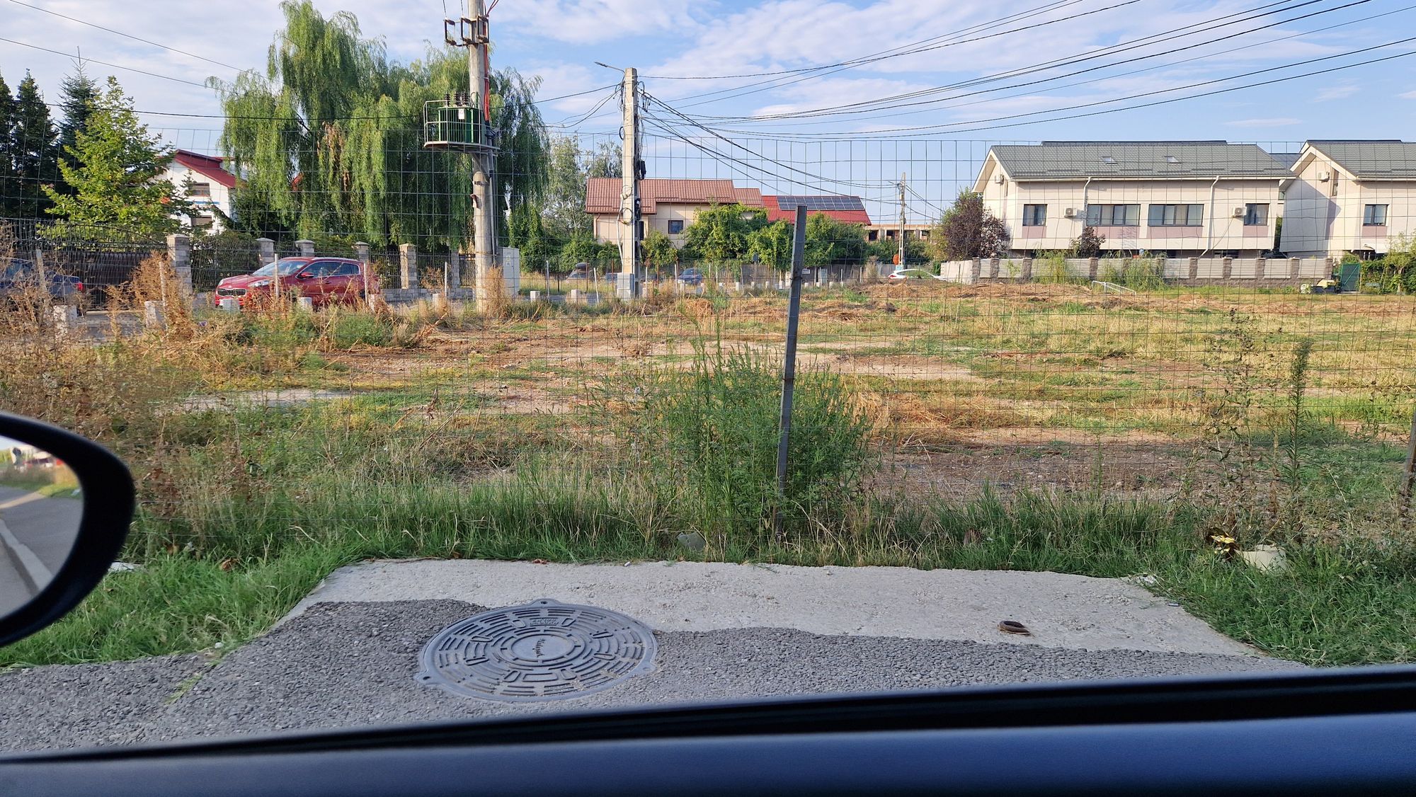 Ambrozie in Strada Apeductului 39A, Roșu, Comuna Chiajna, Județul Ilfov
