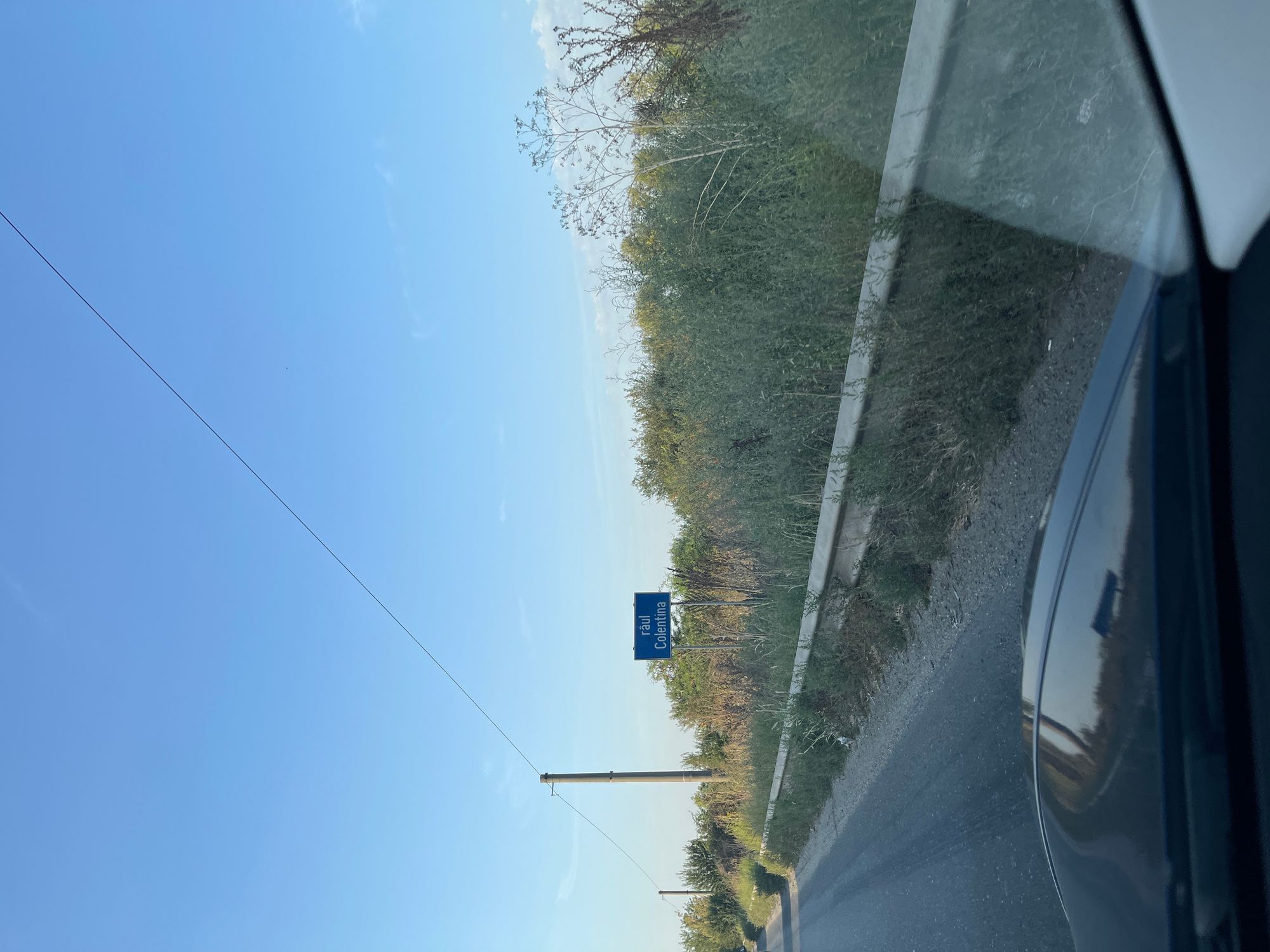 Ambrozie in Pantelimon, Oraş Pantelimon, Județul Ilfov - image.jpg